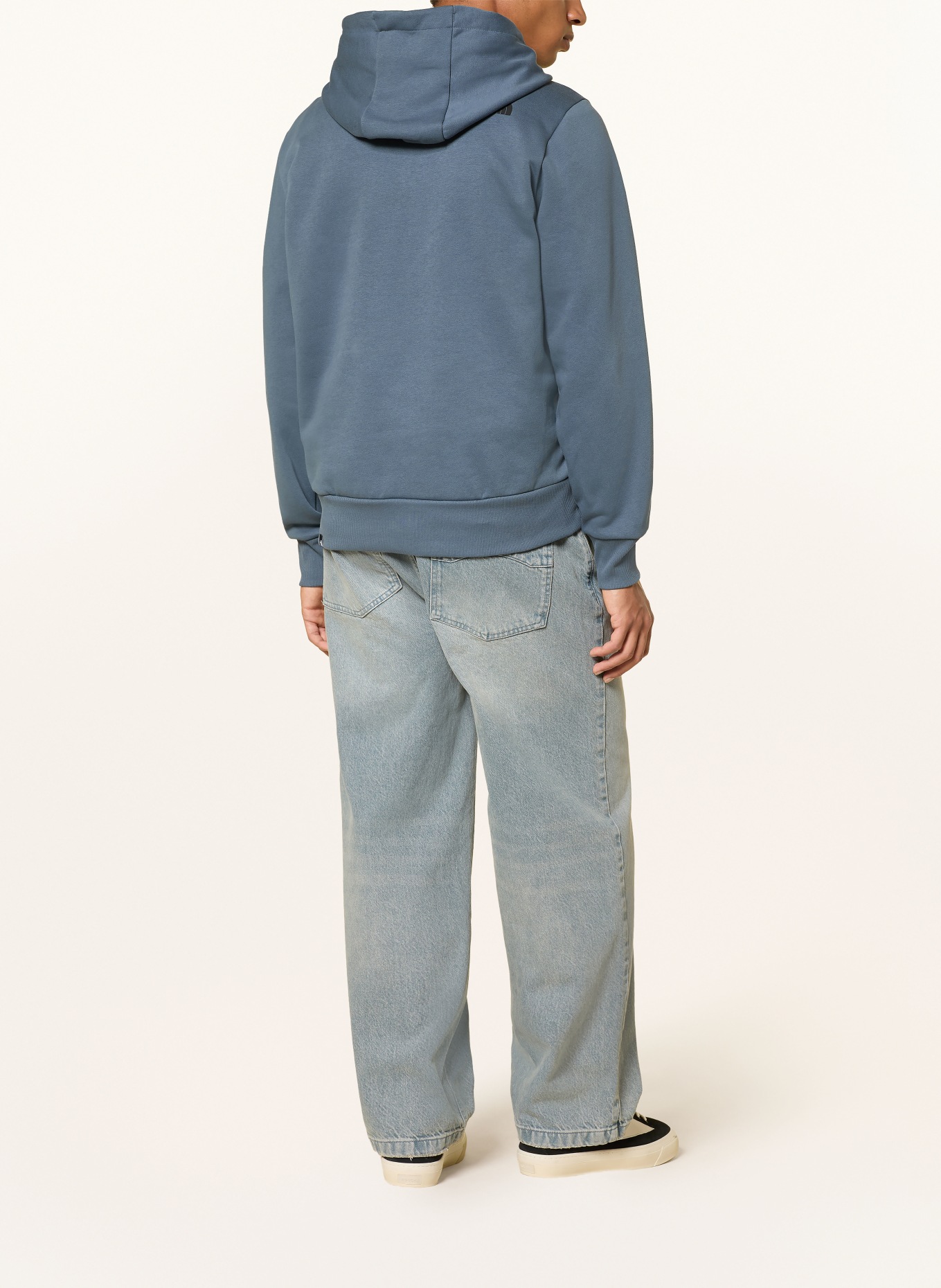 THE NORTH FACE EVOLUTION BOX HALF DOME Hoodie: BLUE GRAY