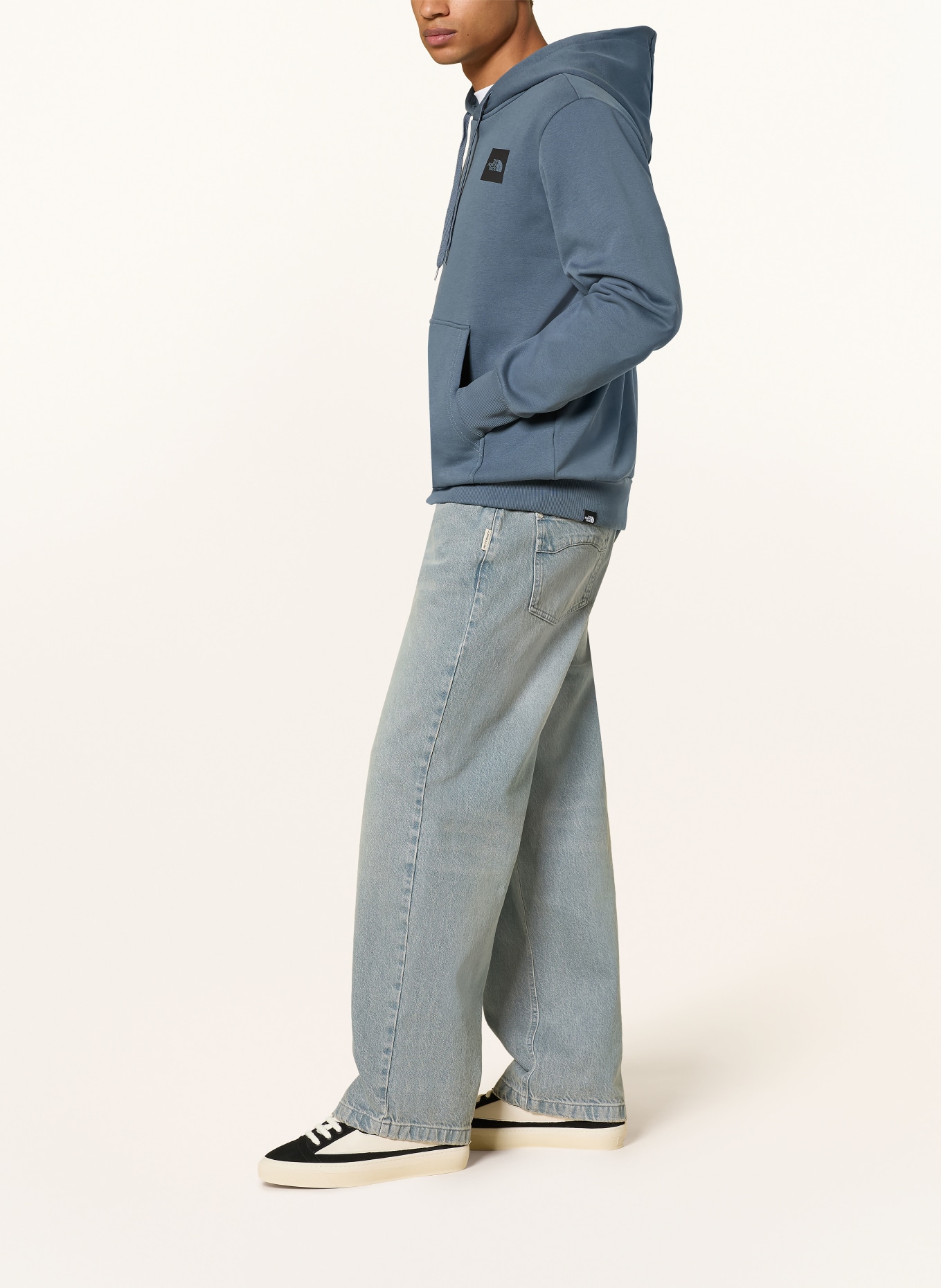 THE NORTH FACE EVOLUTION BOX HALF DOME Hoodie: BLUE GRAY