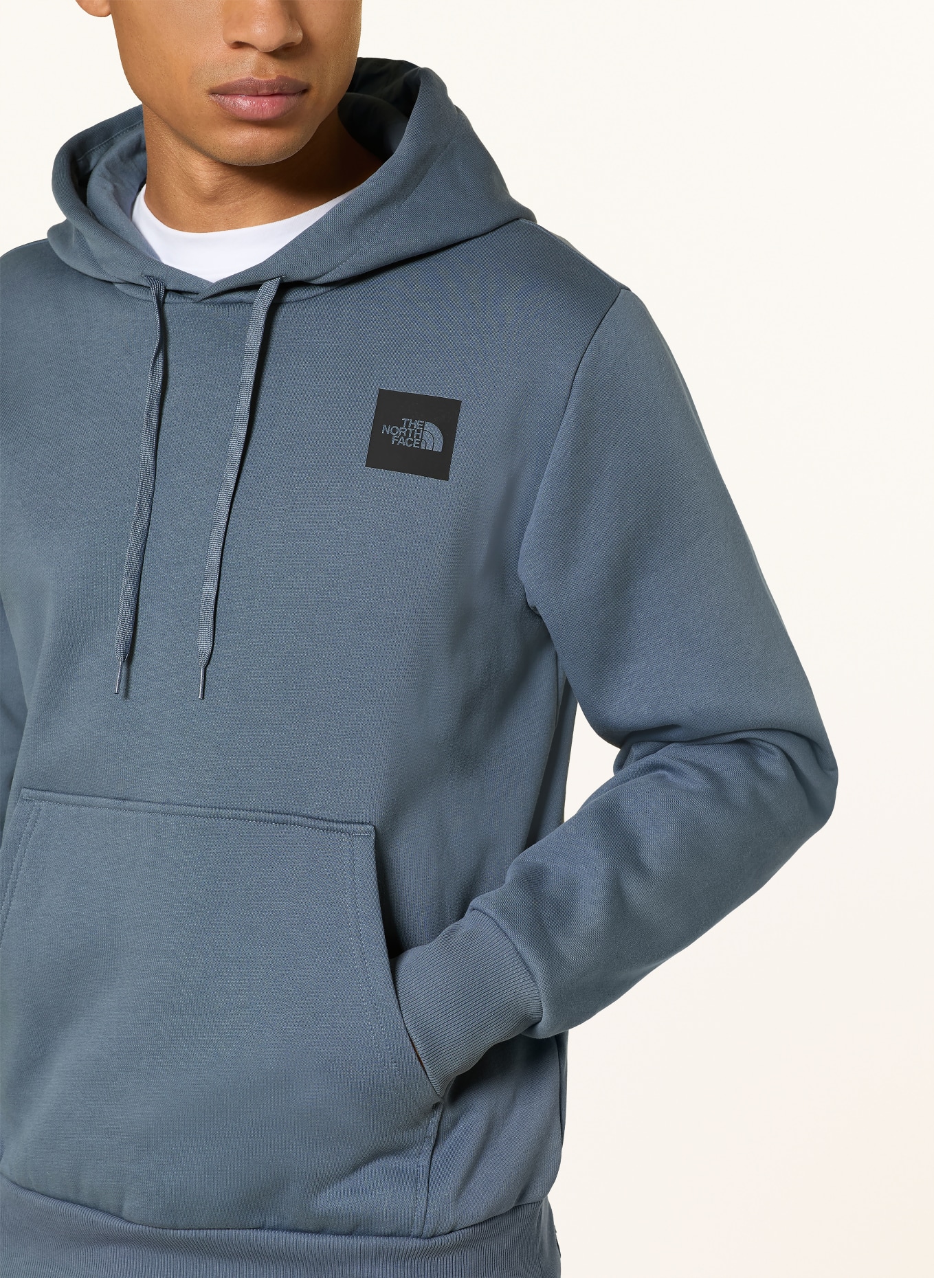 THE NORTH FACE EVOLUTION BOX HALF DOME Hoodie: BLUE GRAY