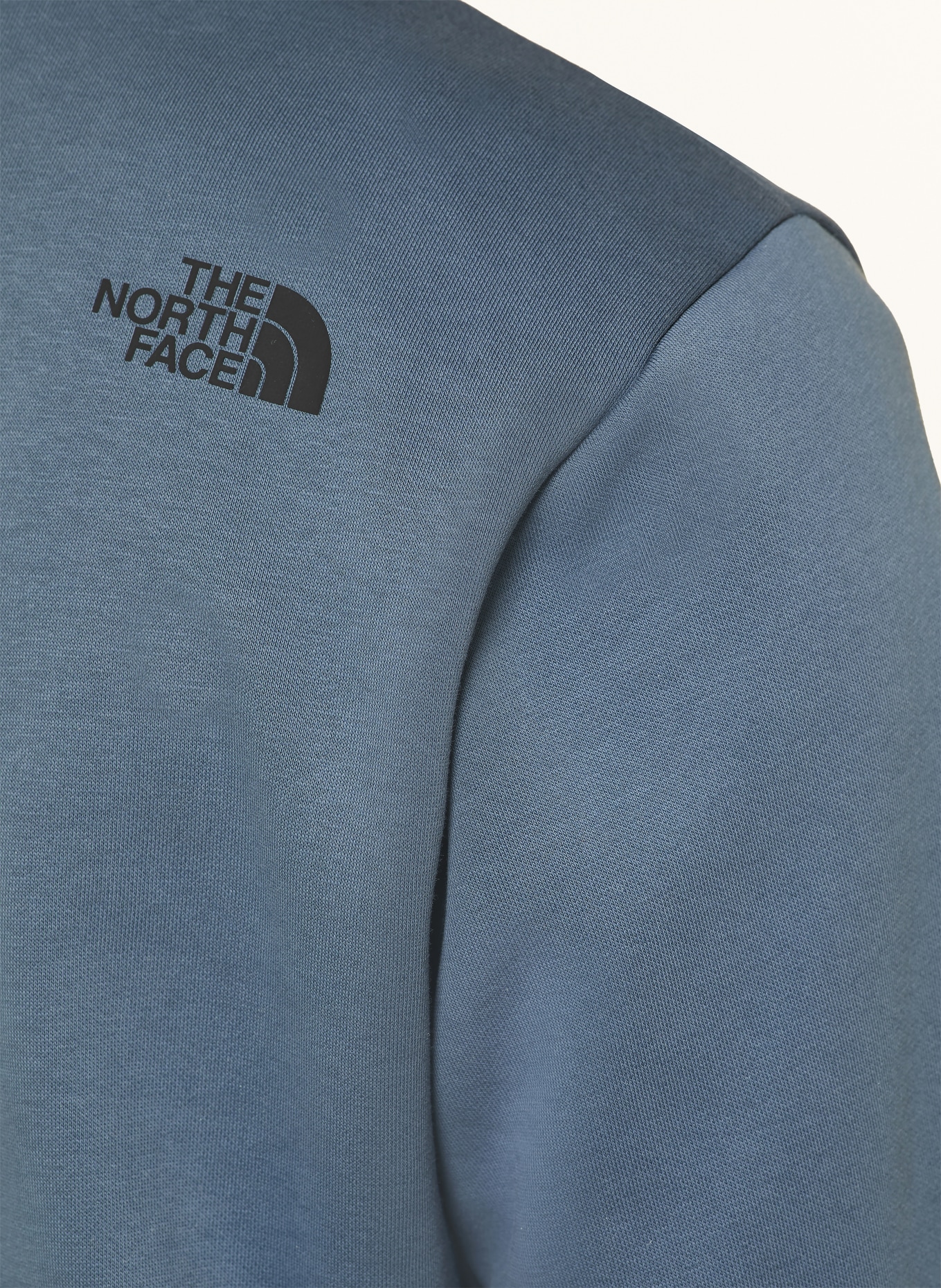 THE NORTH FACE EVOLUTION BOX HALF DOME Hoodie: BLUE GRAY