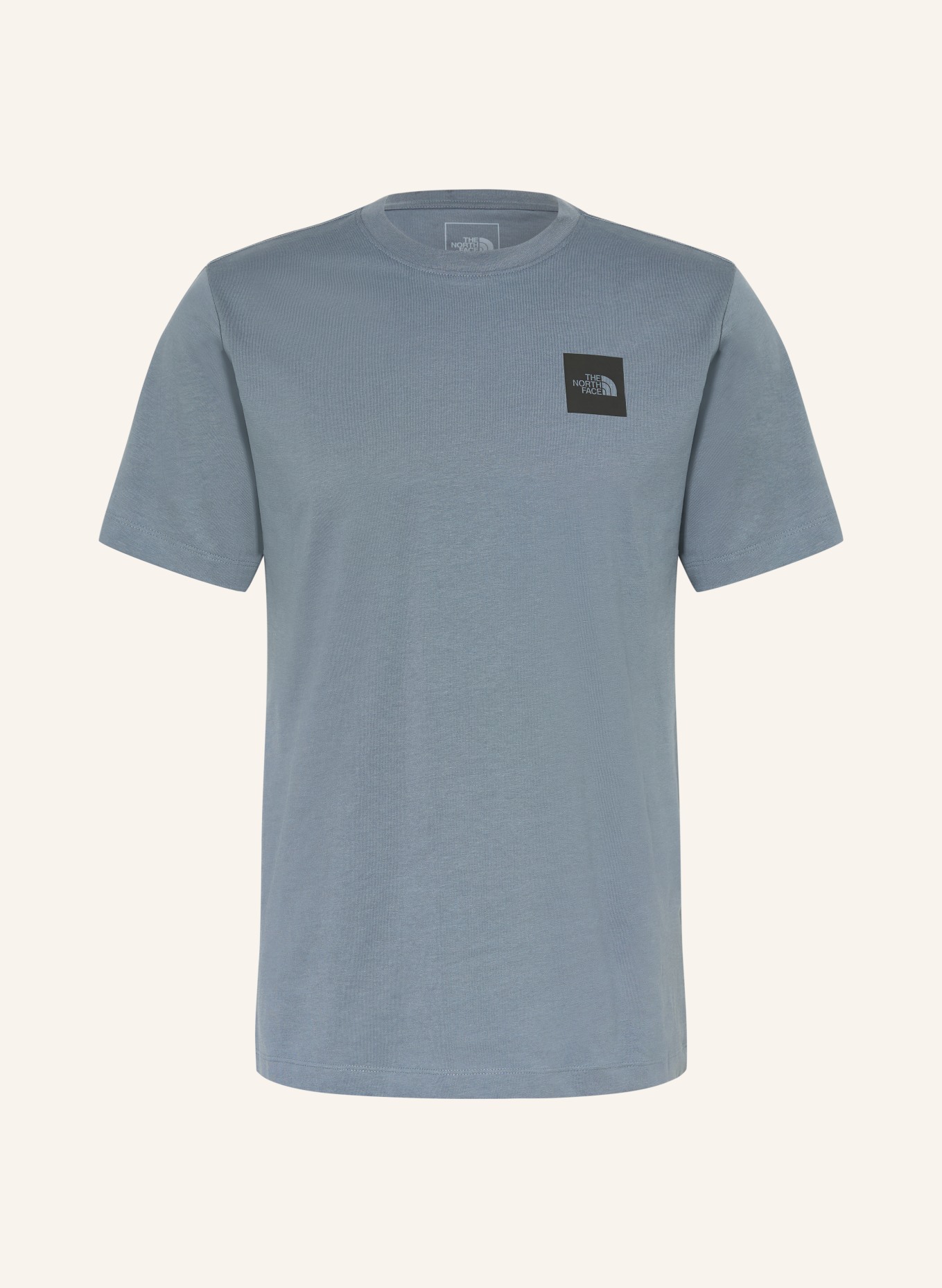 THE NORTH FACE T-Shirt EVOLUTION BOX HALF DOME: BLAUGRAU