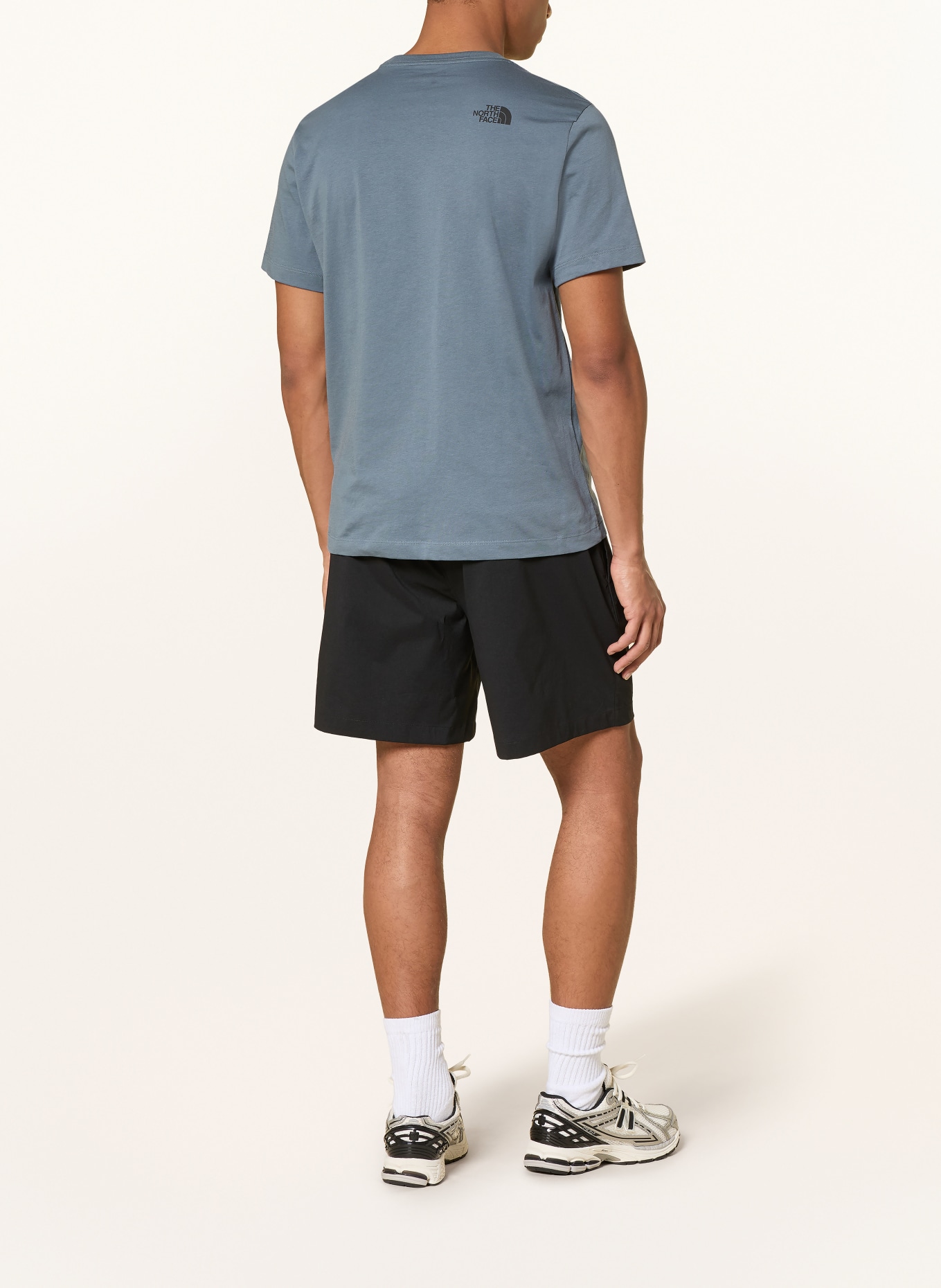 THE NORTH FACE T-Shirt EVOLUTION BOX HALF DOME: BLAUGRAU