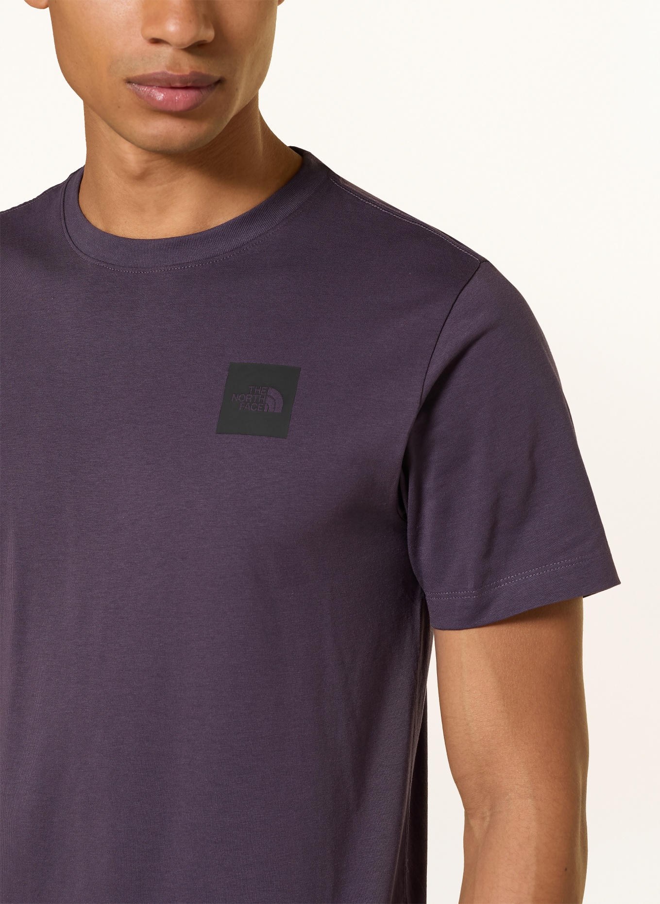 THE NORTH FACE T-Shirt EVOLUTION BOX HALF DOME: DUNKELLILA