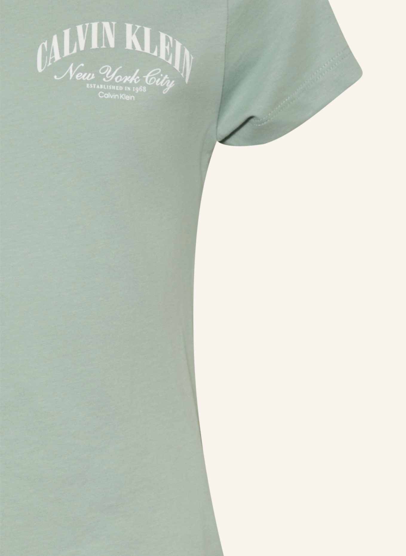 Calvin Klein T-shirt: MINT
