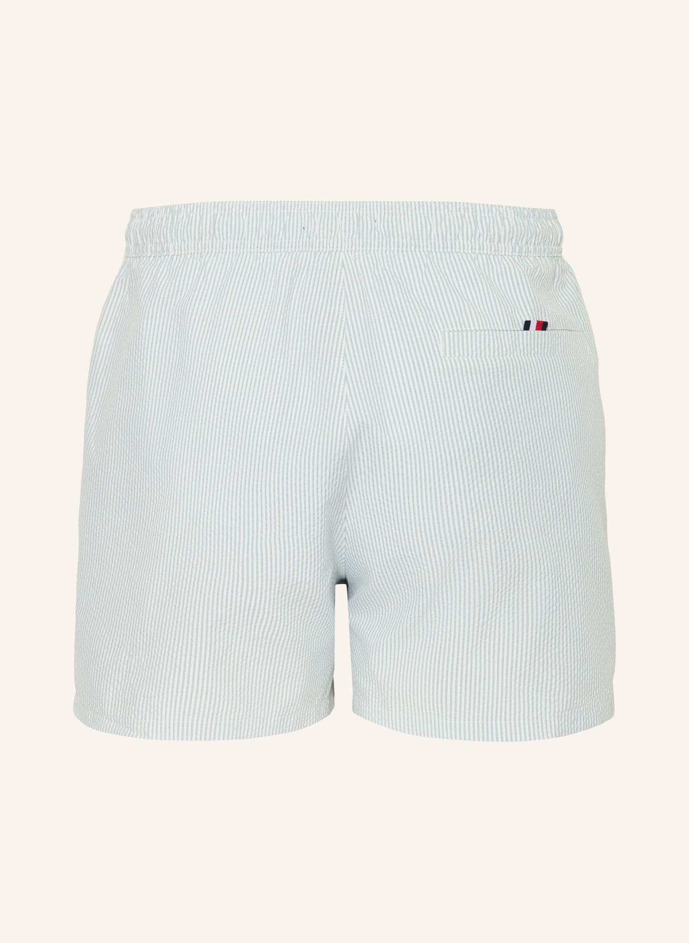 TOMMY HILFIGER zwemshort: MINT / WIT