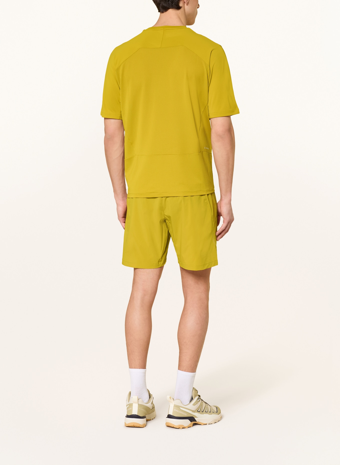 SALEWA PEDROC DRY'TON Performance Shirt: OLIVE