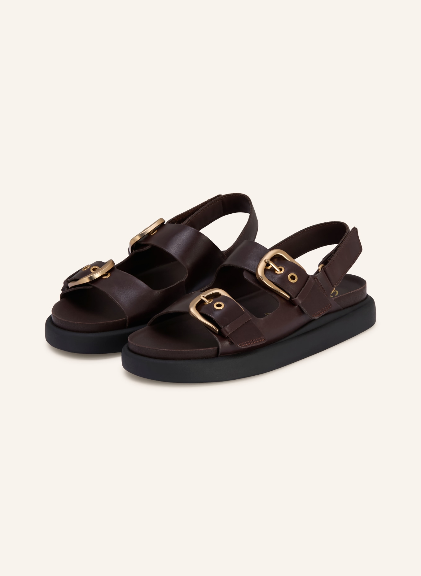Clarks Sandalen ARISTELLA BAY: DUNKELBRAUN