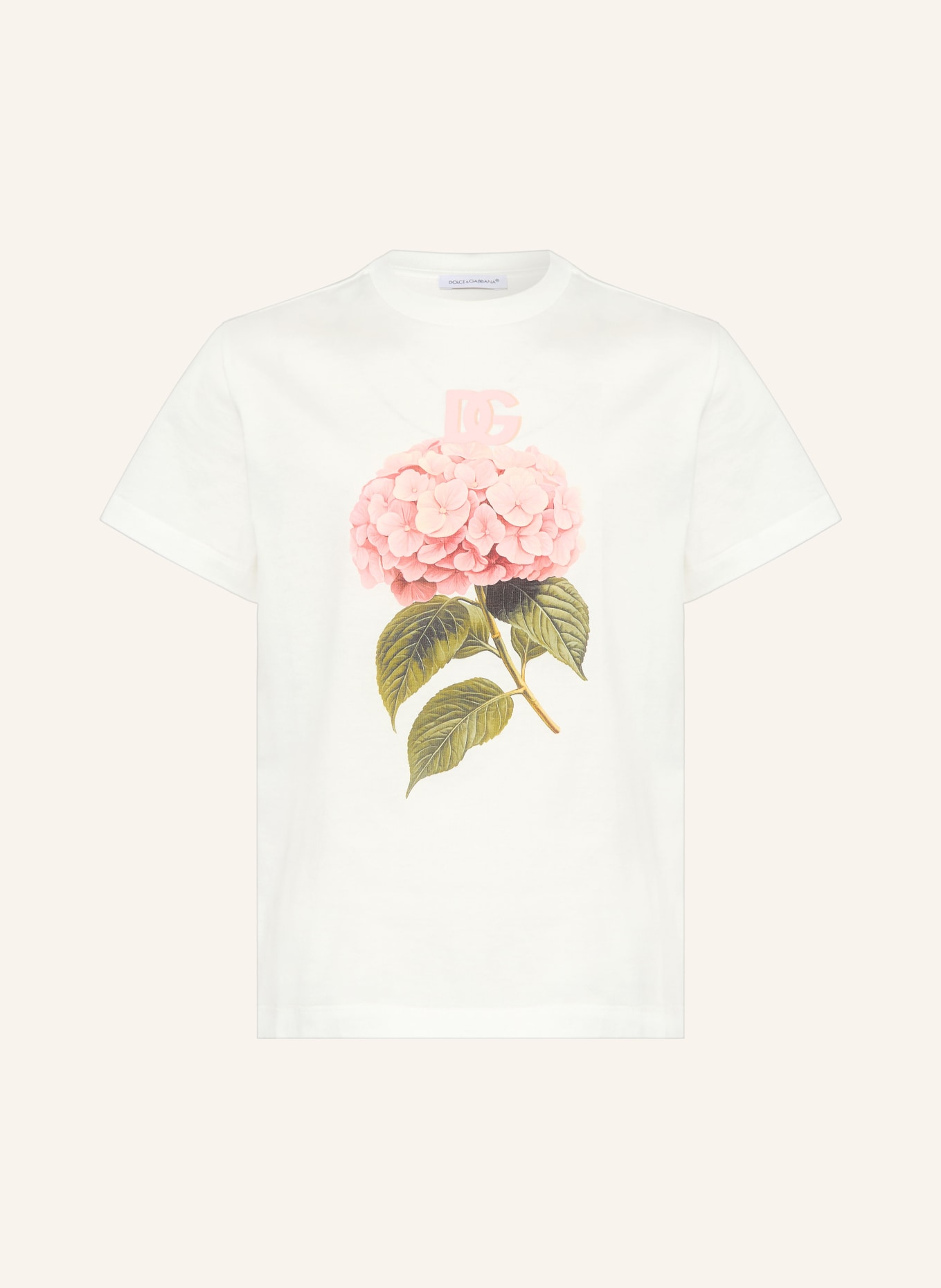 DOLCE & GABBANA T-shirt: BLANC / ROSÉ / OLIVE