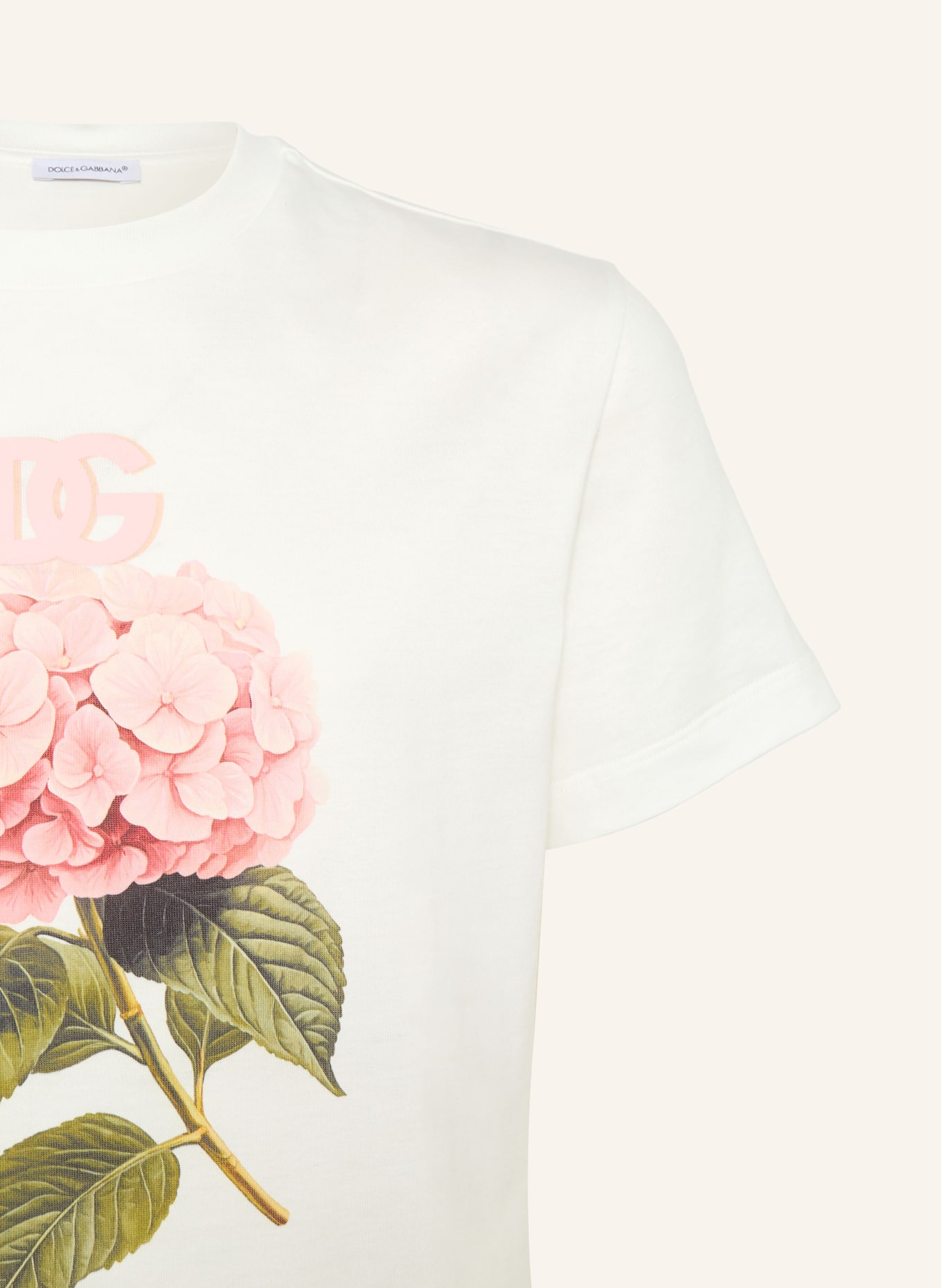 DOLCE & GABBANA T-shirt: BLANC / ROSÉ / OLIVE