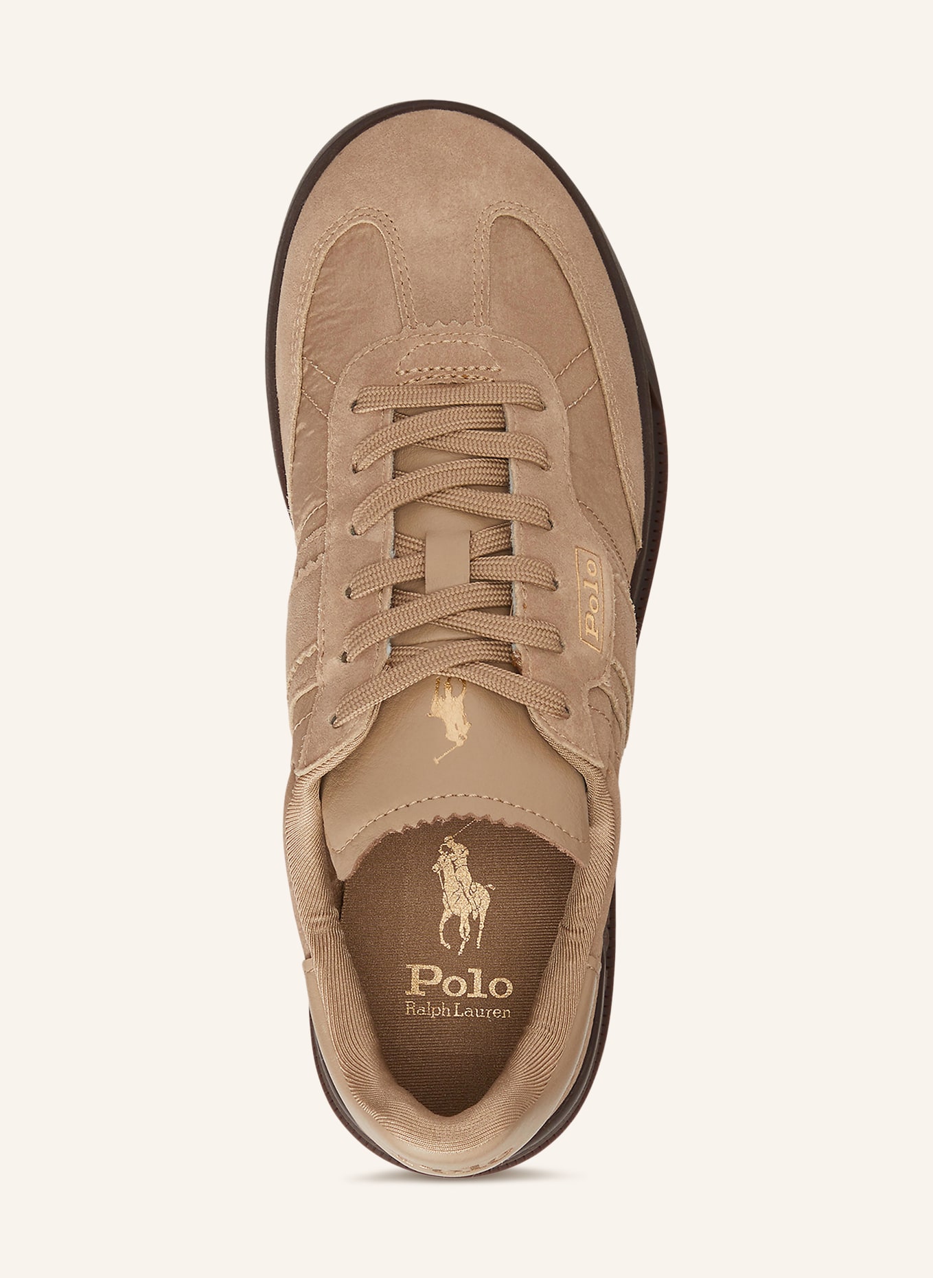 POLO RALPH LAUREN DELAVE sneakers: LIGHT BROWN