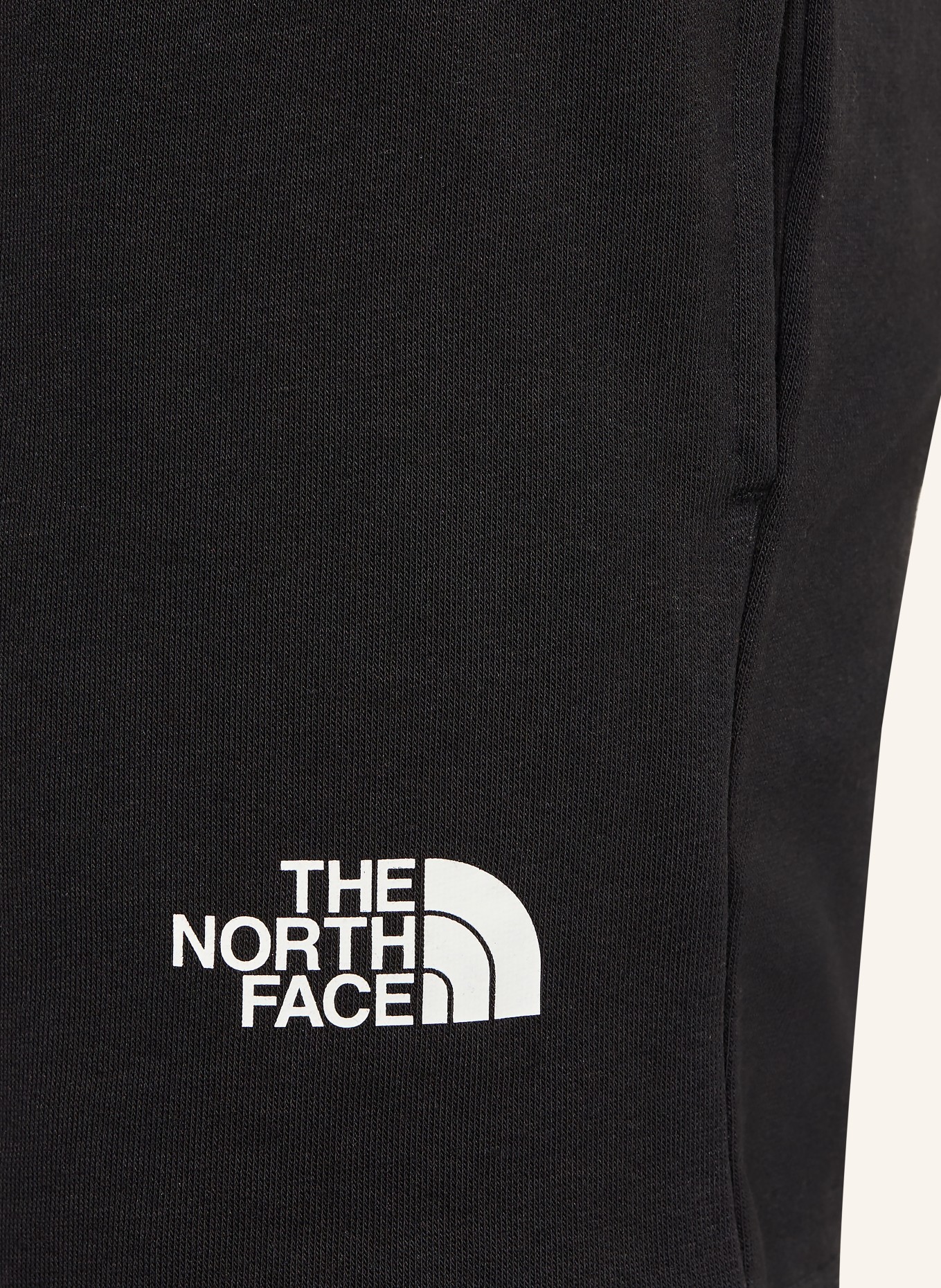 THE NORTH FACE Sweatshorts: SCHWARZ