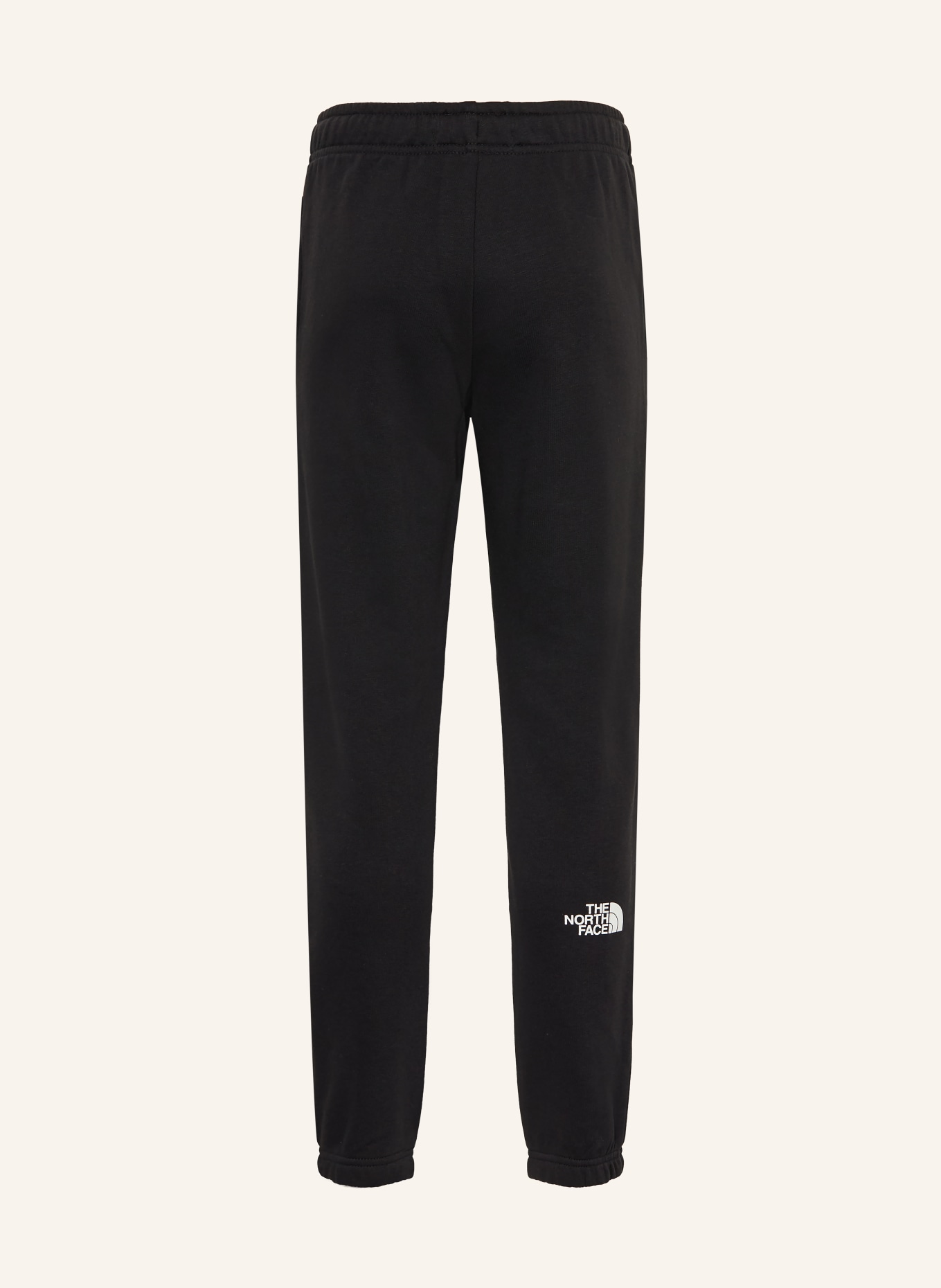 THE NORTH FACE Spodnie dresowe: CZARNY
