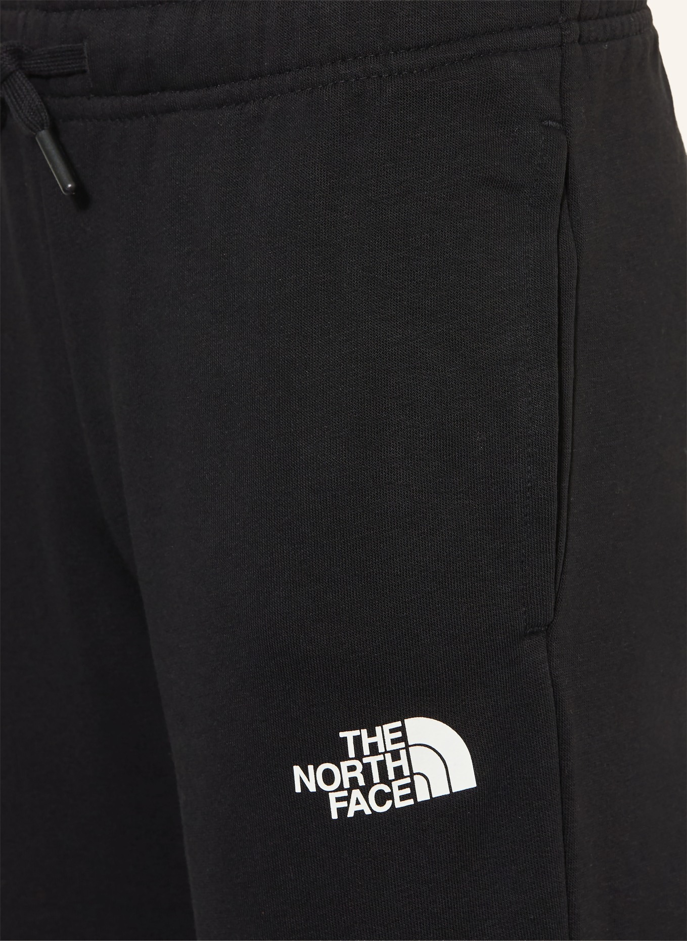 THE NORTH FACE Spodnie dresowe: CZARNY