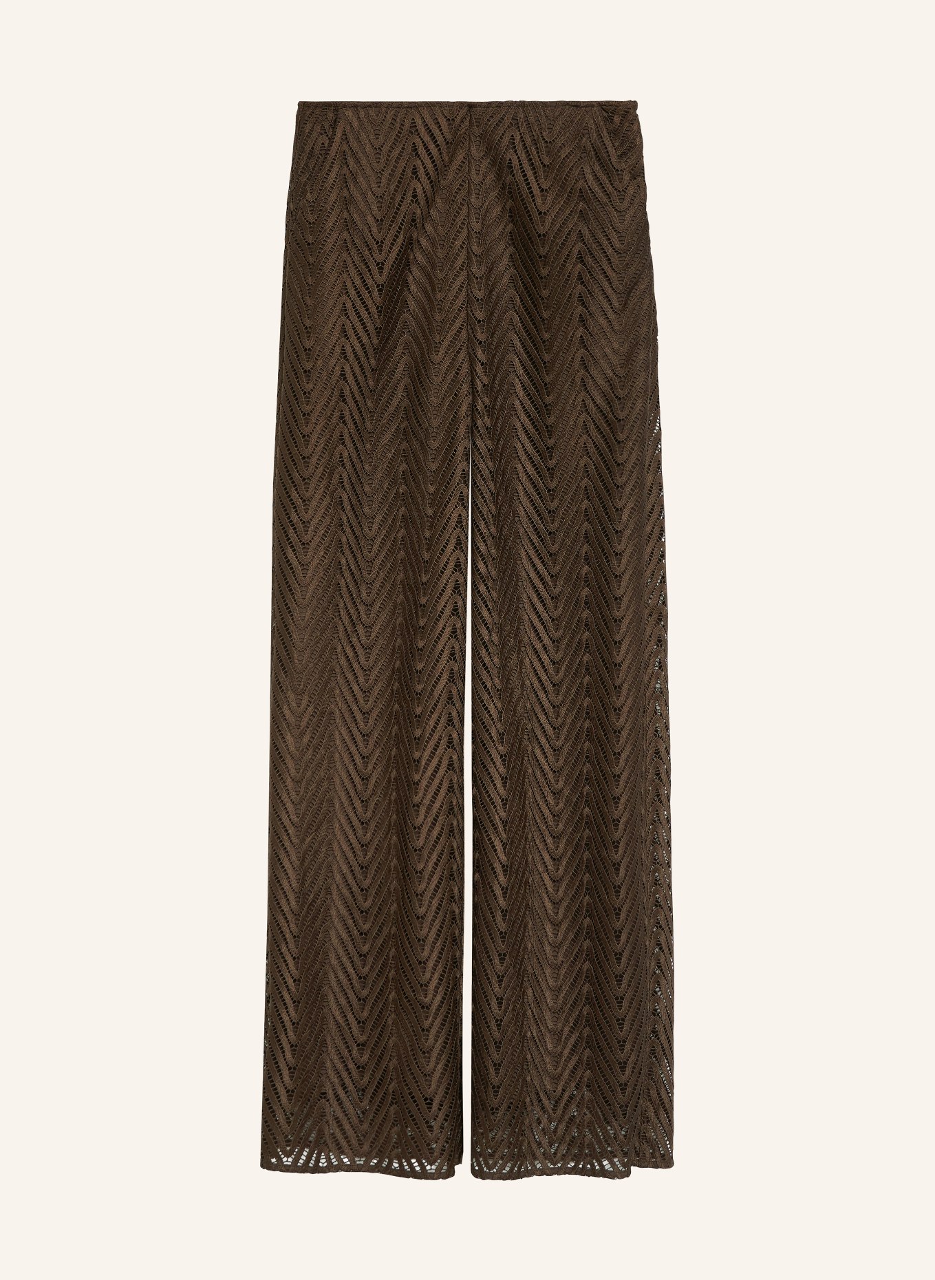 comma Hose aus Spitze: BRAUN