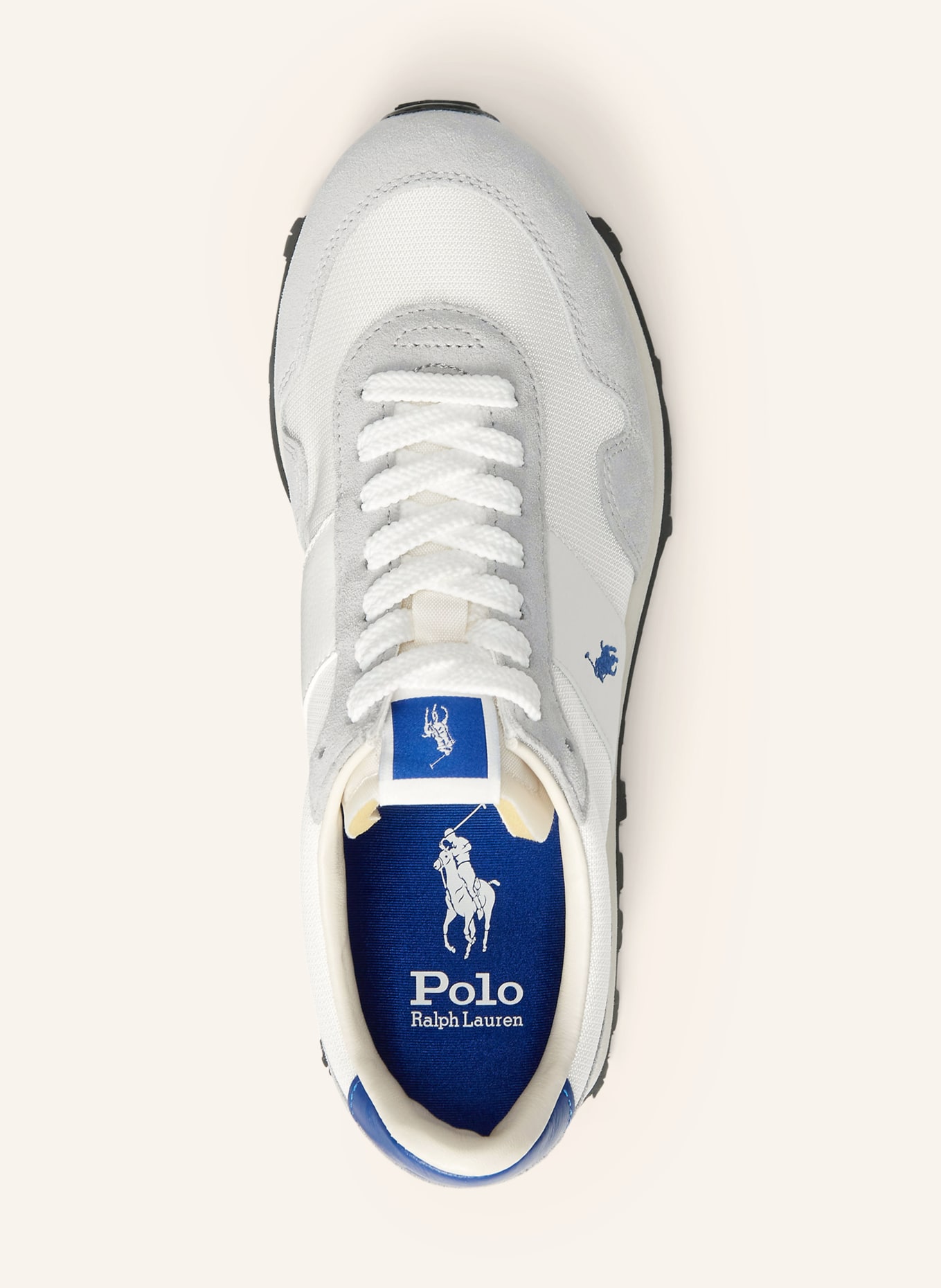 POLO RALPH LAUREN baskets: GRIS / CRÈME