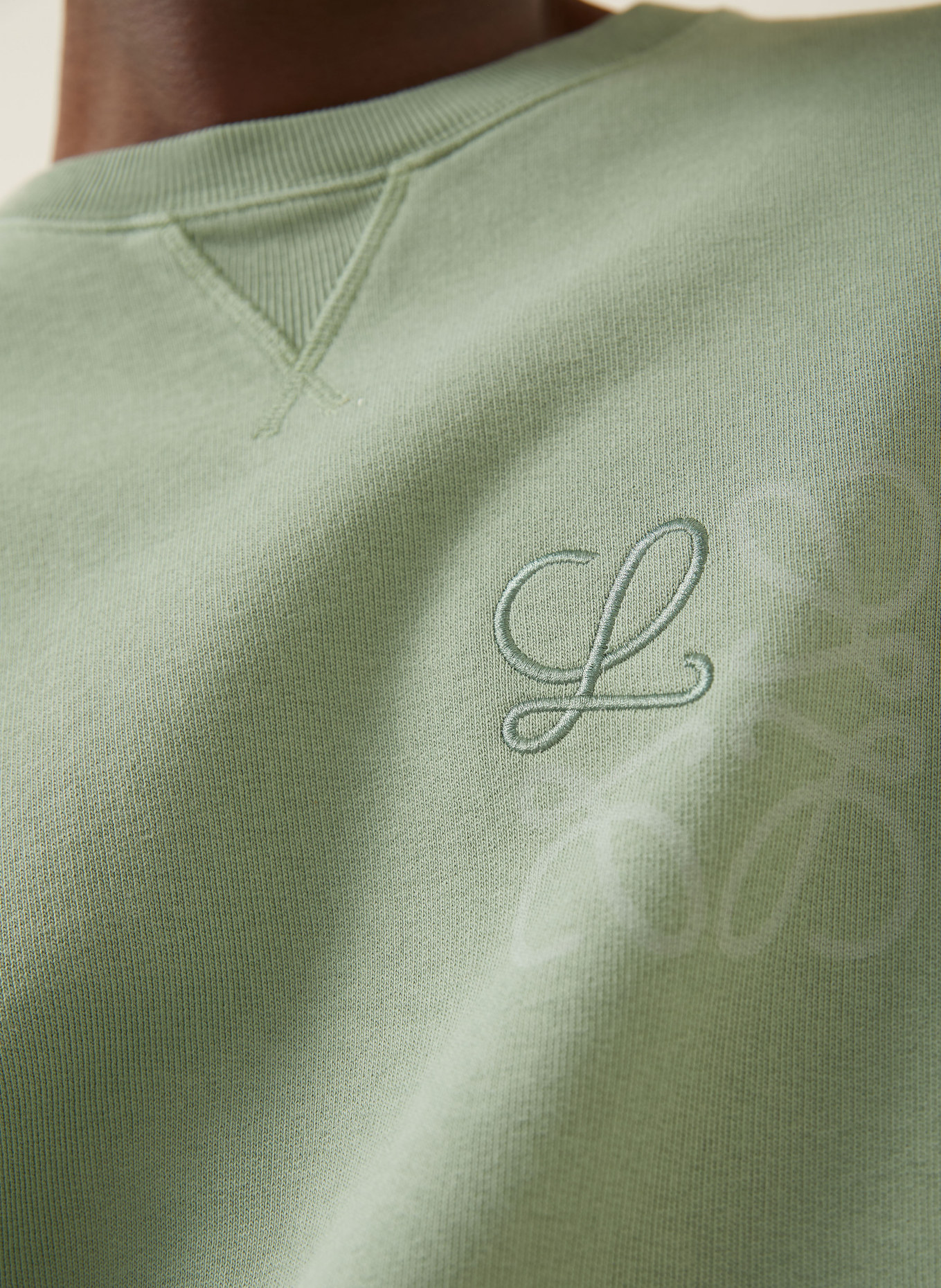 LOEWE sweatshirt: LICHTGROEN