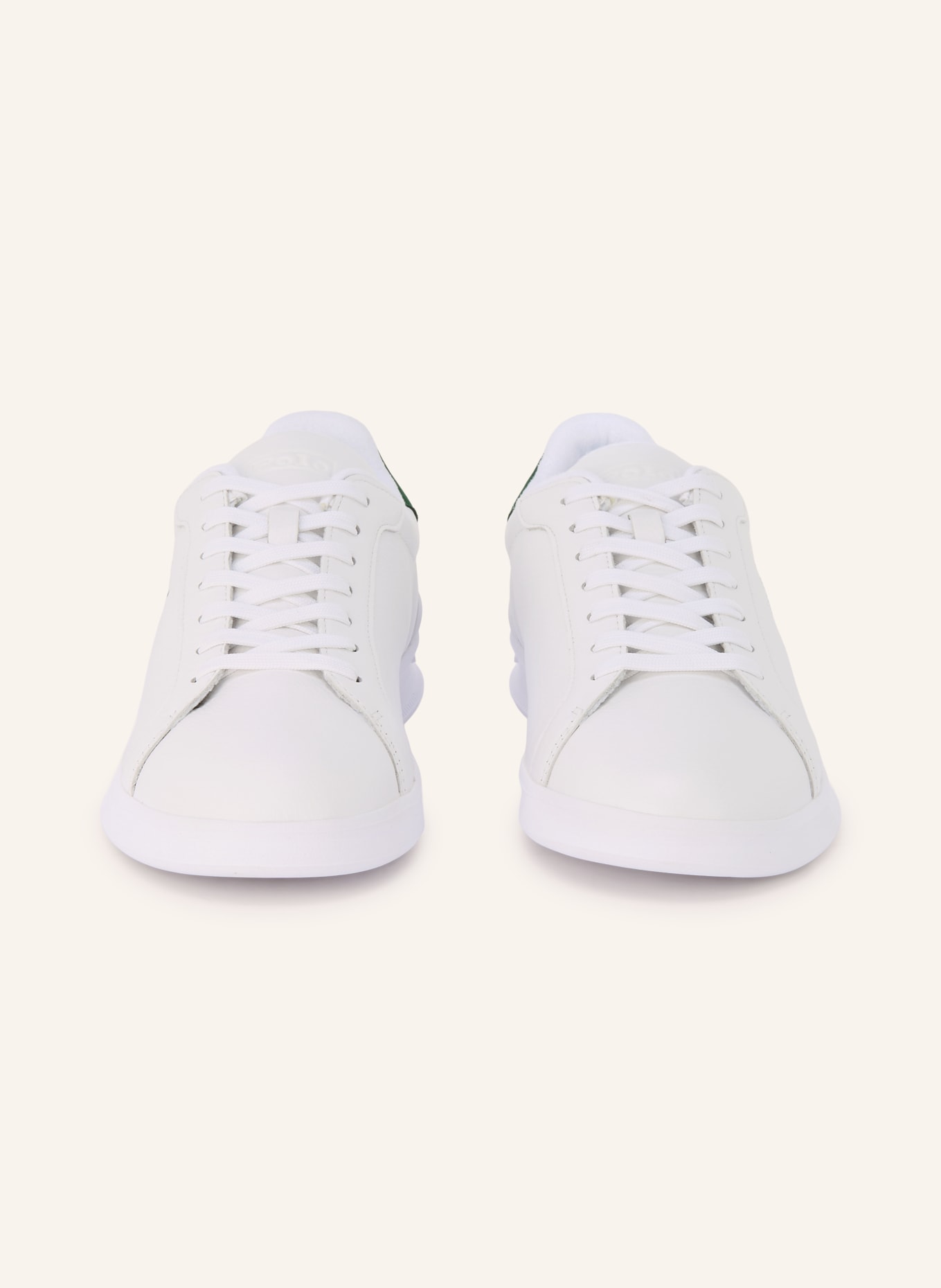 POLO RALPH LAUREN sneaker: WIT / GOUD / GROEN