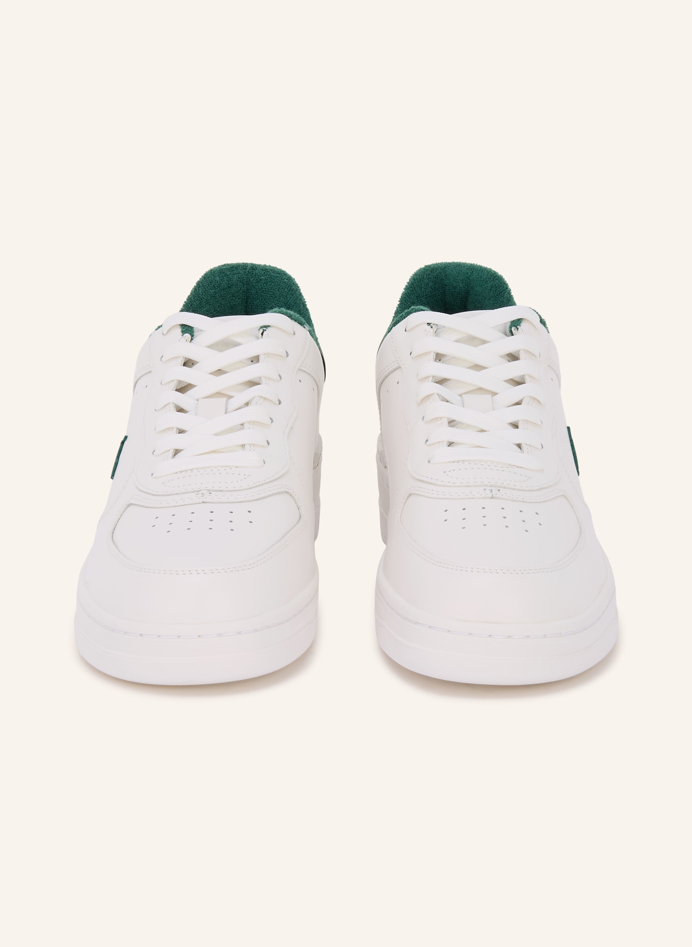 POLO RALPH LAUREN baskets: BLANC / GROEN