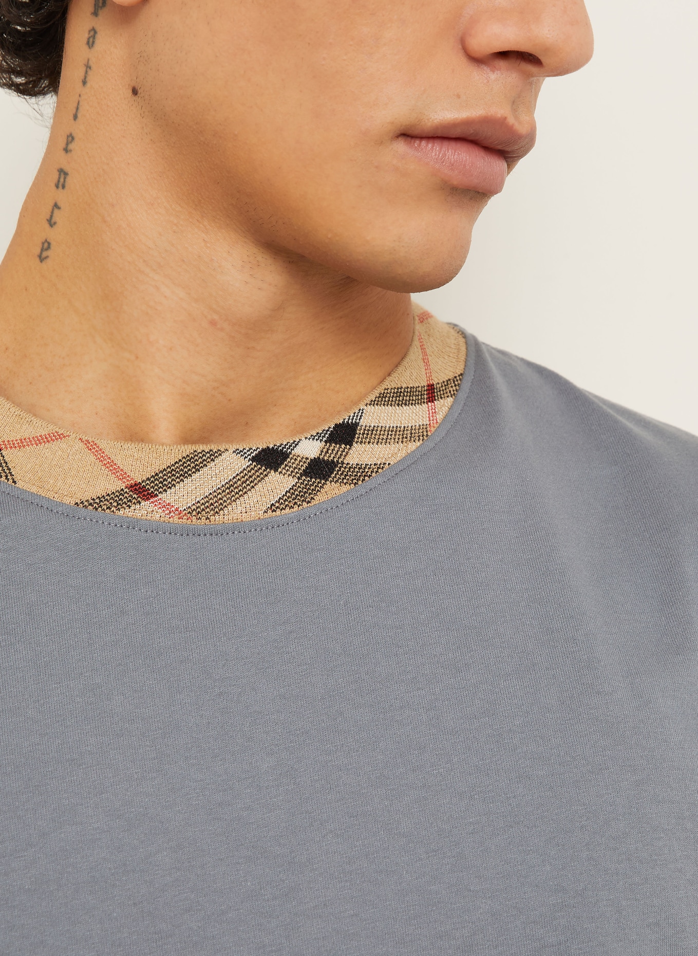 BURBERRY RYAN T-shirt: GRAY / BEIGE