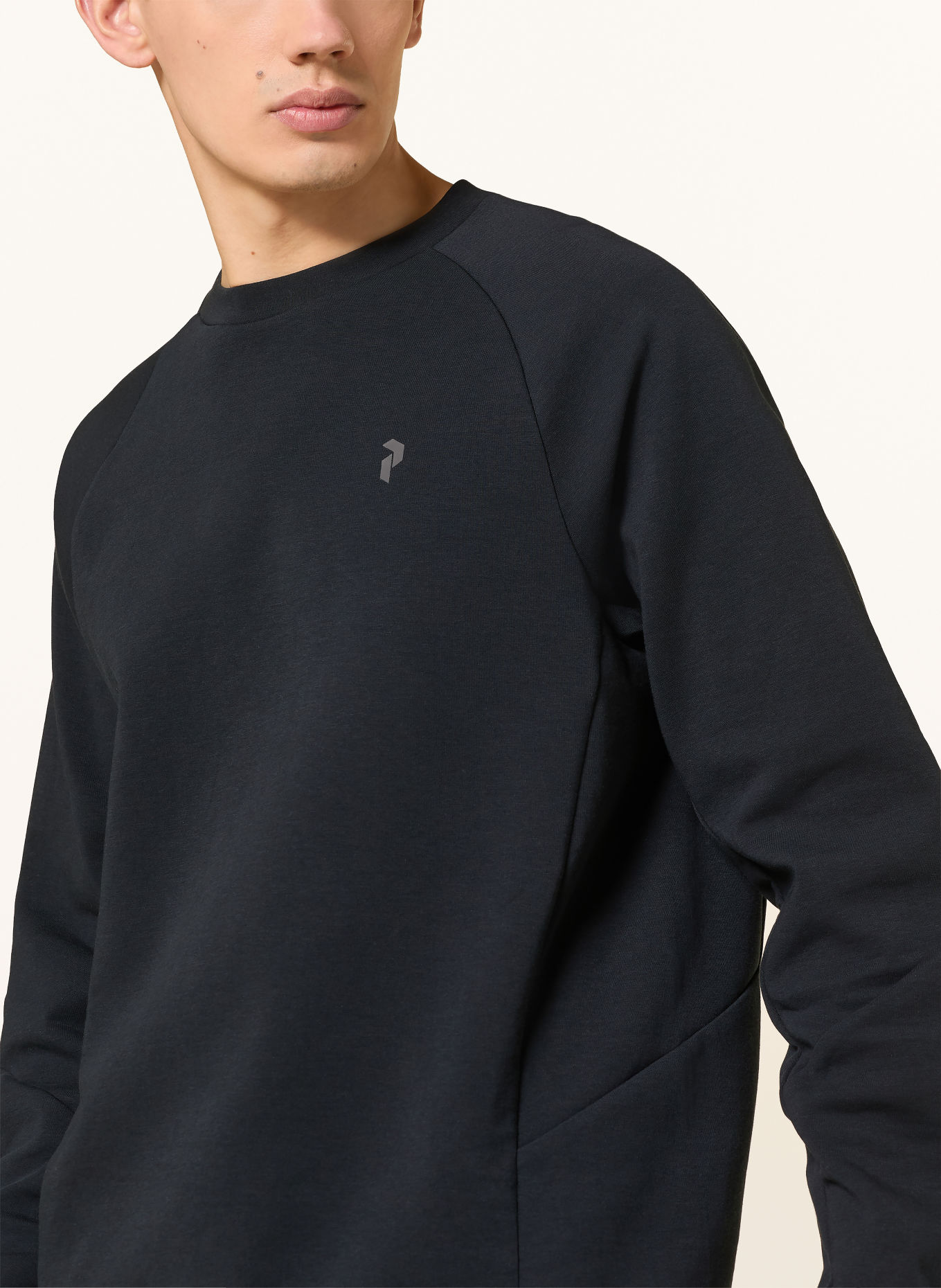 Peak Performance Sweatshirt: ZWART