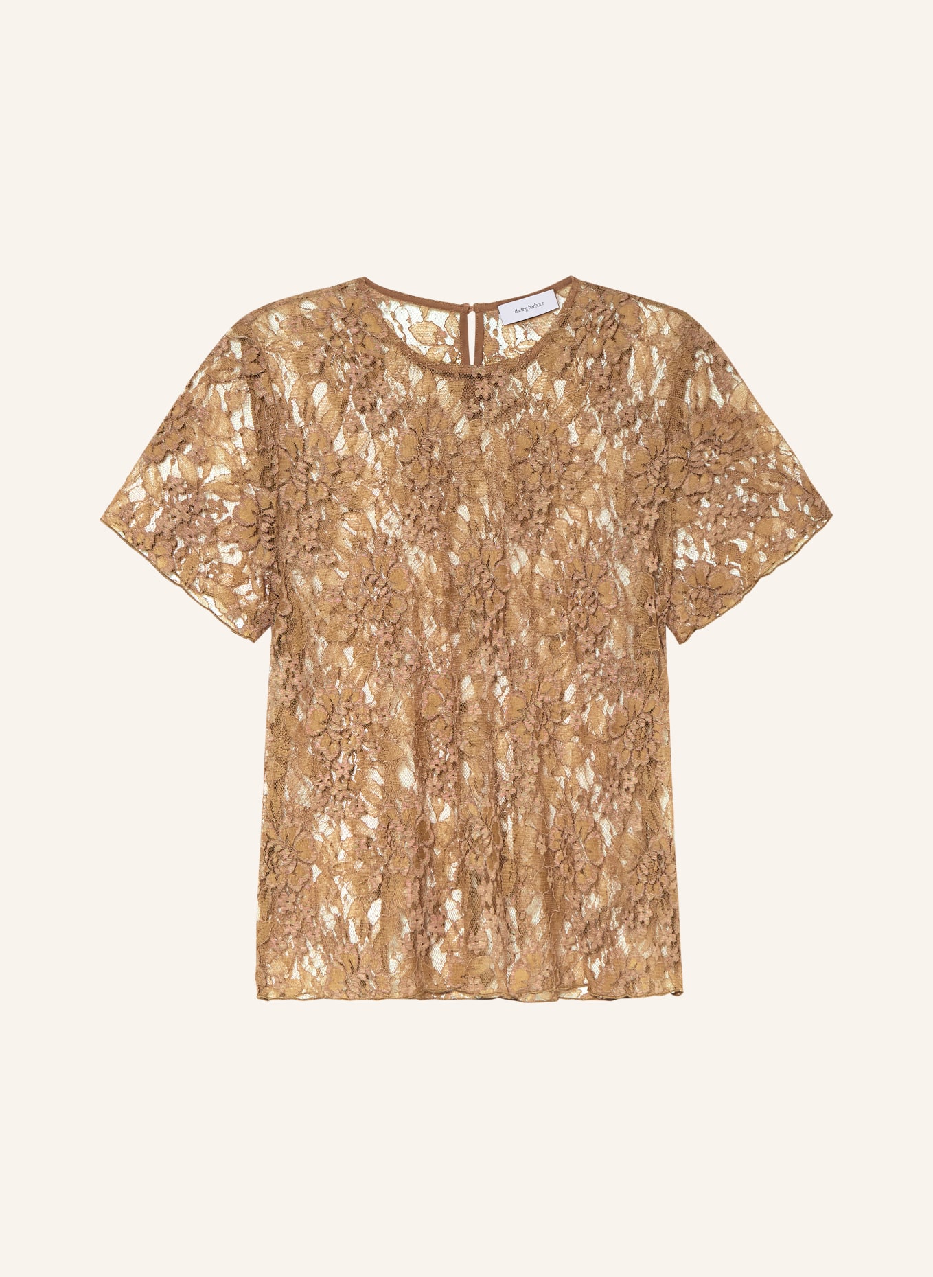 darling harbour Blusenshirt aus Spitze: MOKKA