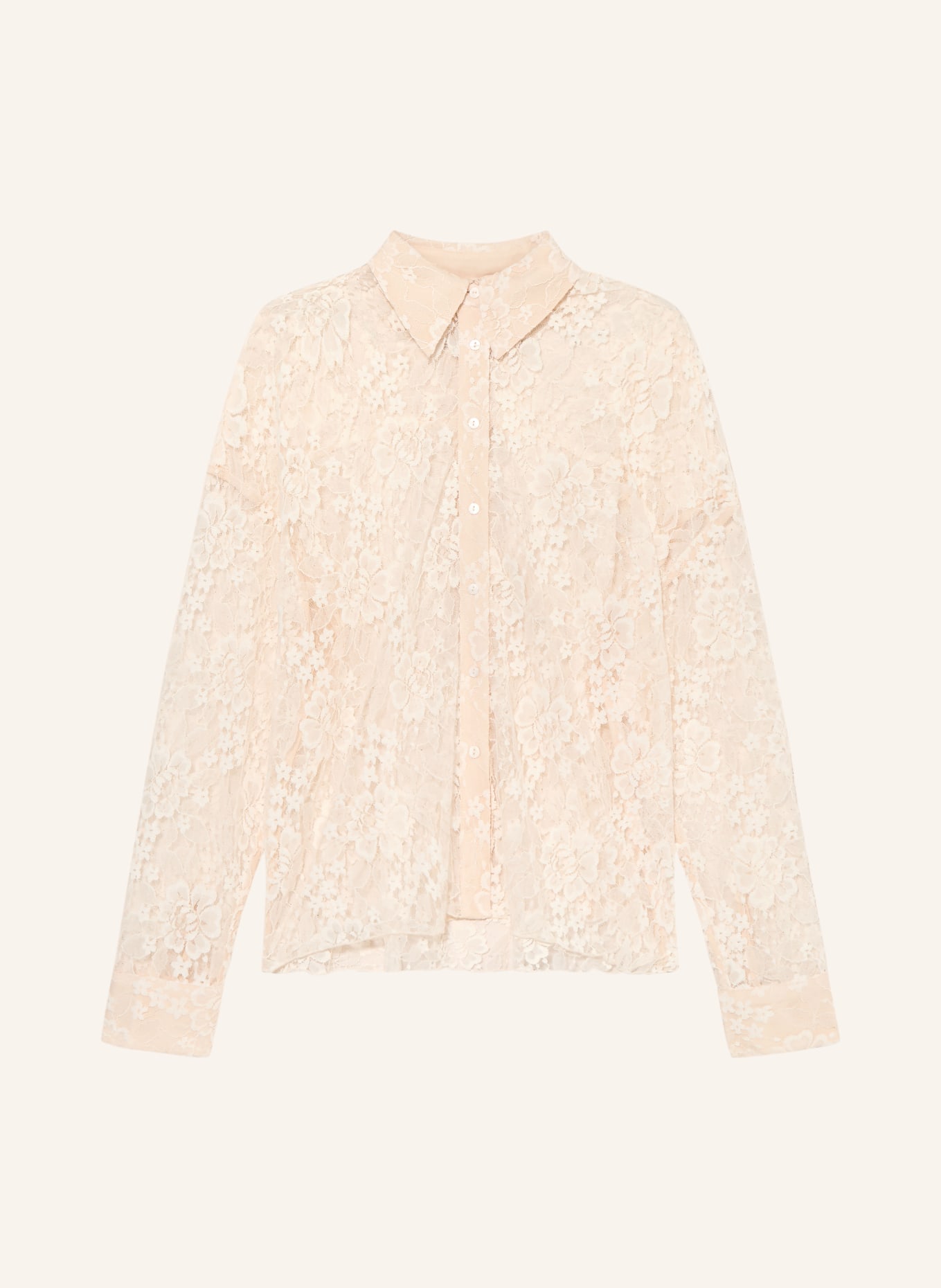 darling harbour Hemdbluse aus Spitze: CHAMPAGNER