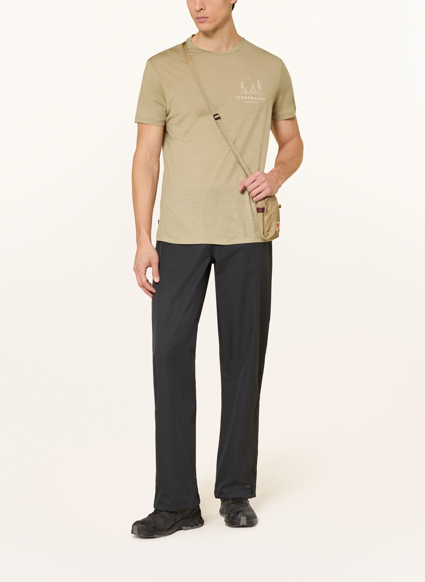 icebreaker Koszulka funkcjonalna MERINO 150 TECH LITE PEACEFUL PASS z wełny merynosowej: BEŻOWY