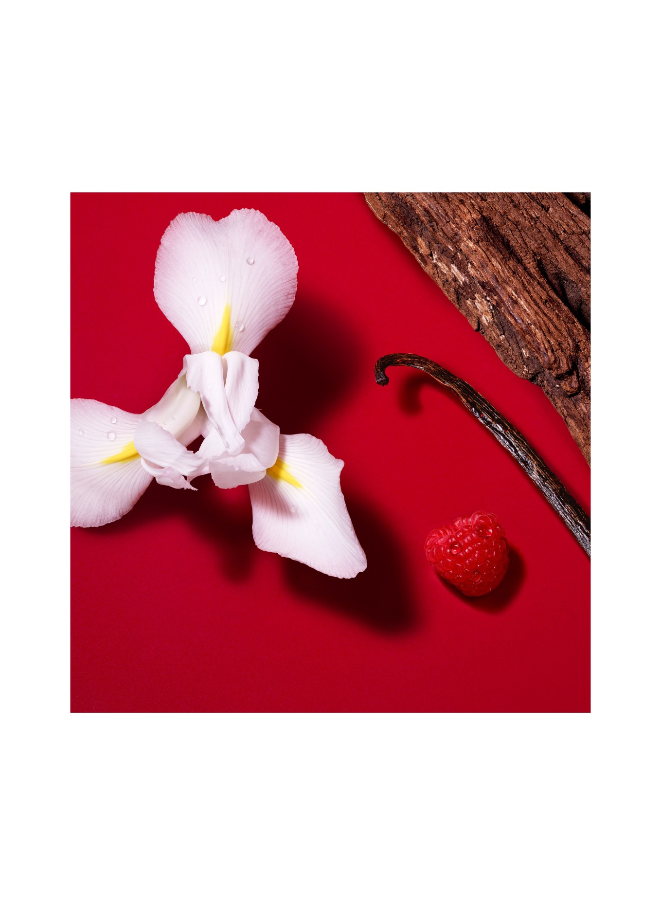 GIORGIO ARMANI BEAUTY SÌ PASSIONE RED BLOOM