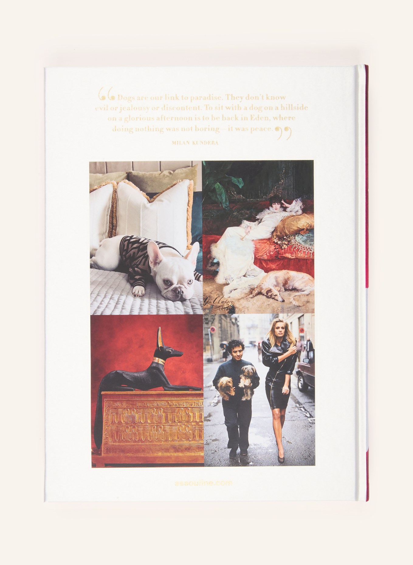 ASSOULINE Boek CHIC DOGS: ROZE / GOUD / CRÈME