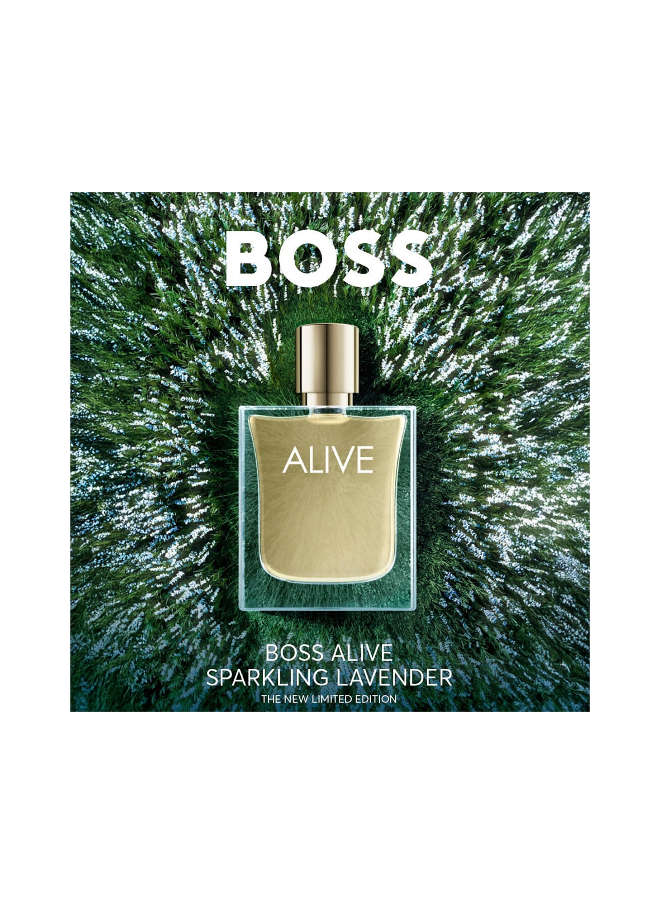 BOSS BOSS ALIVE LAVENDEL