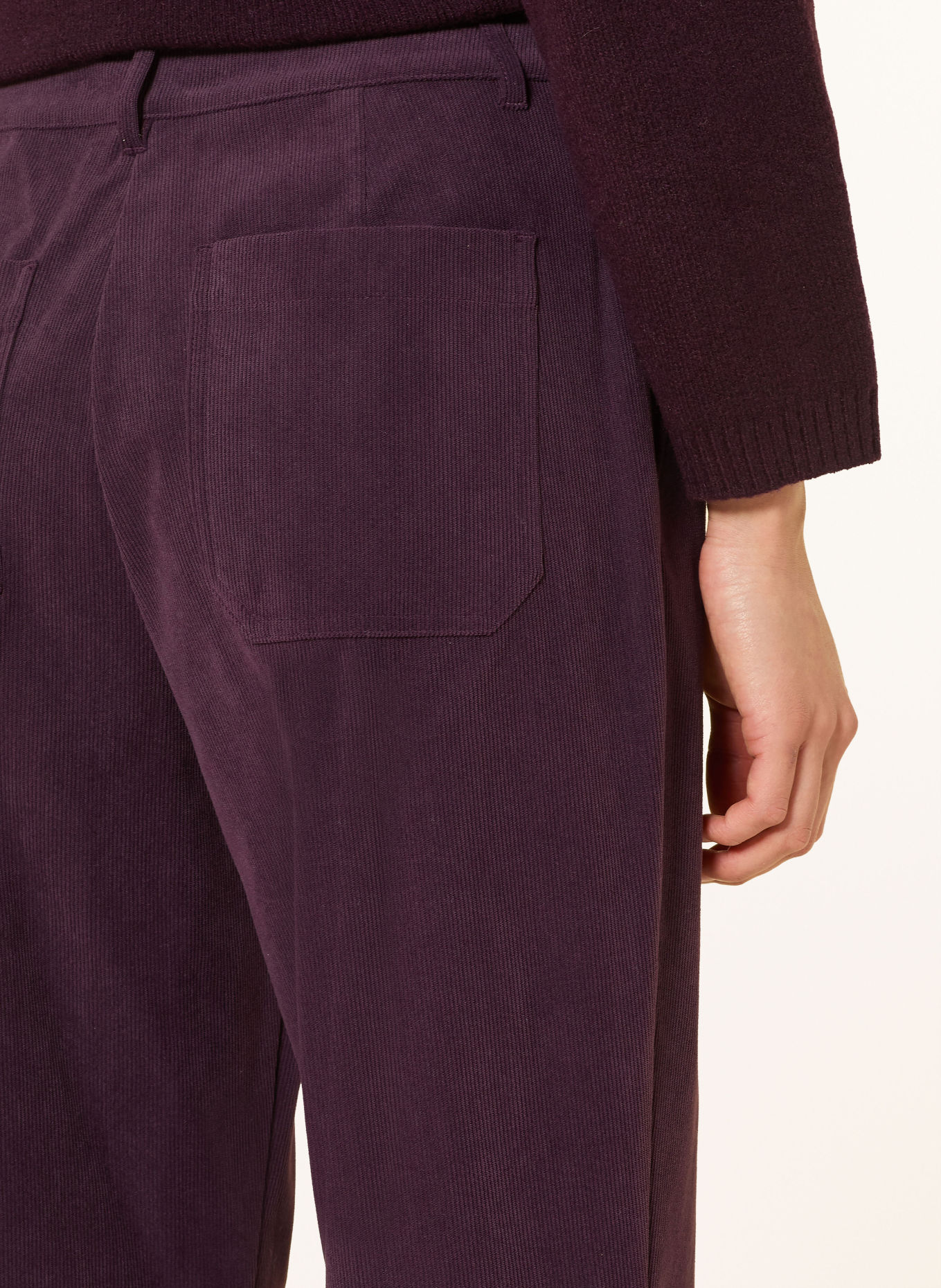 MARC AUREL corduroy pants: DARK PURPLE