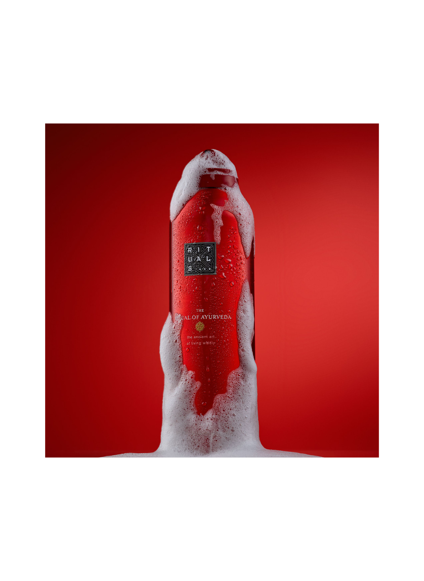 RITUALS OBŘAD ÁJURVÉDY