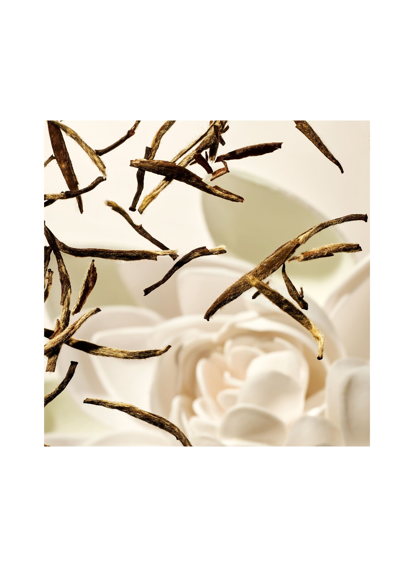 RITUALS RYTUAŁ KARMY