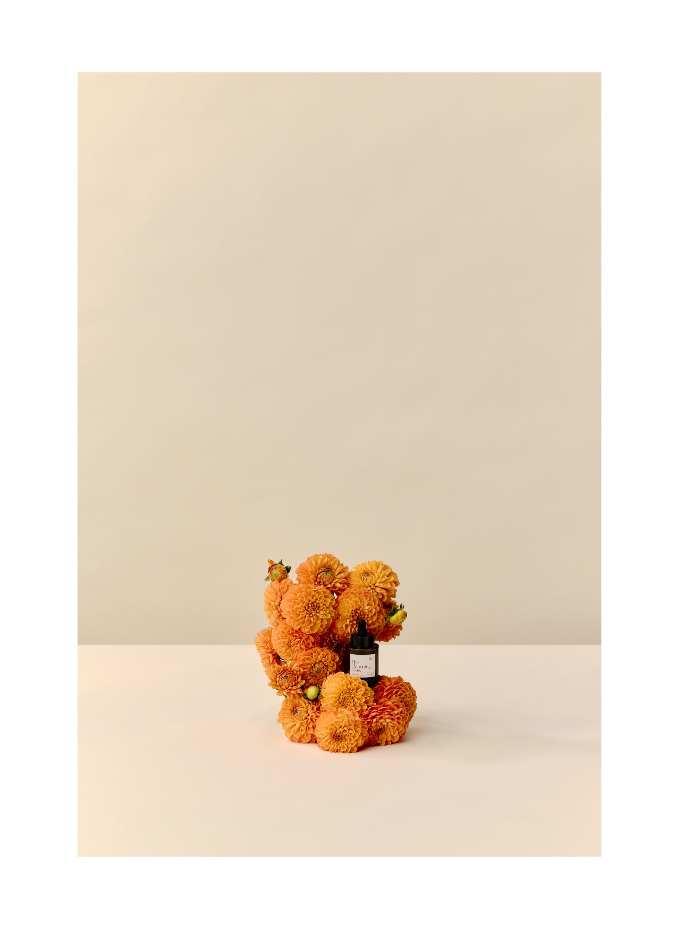 THIS PLACE THE MORNING GLOW