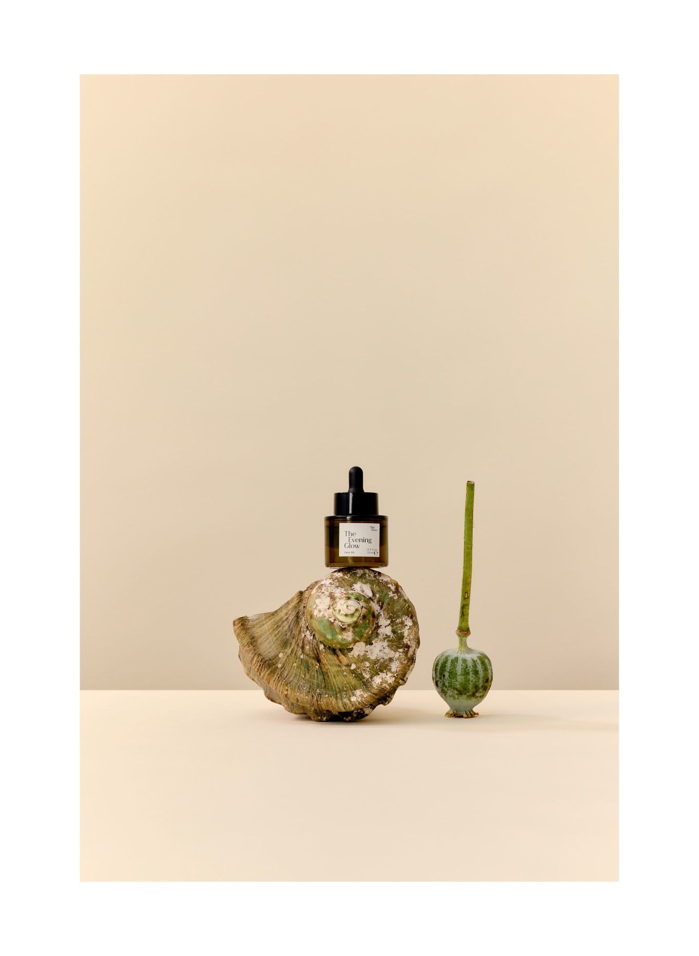 THIS PLACE THE EVENING GLOW