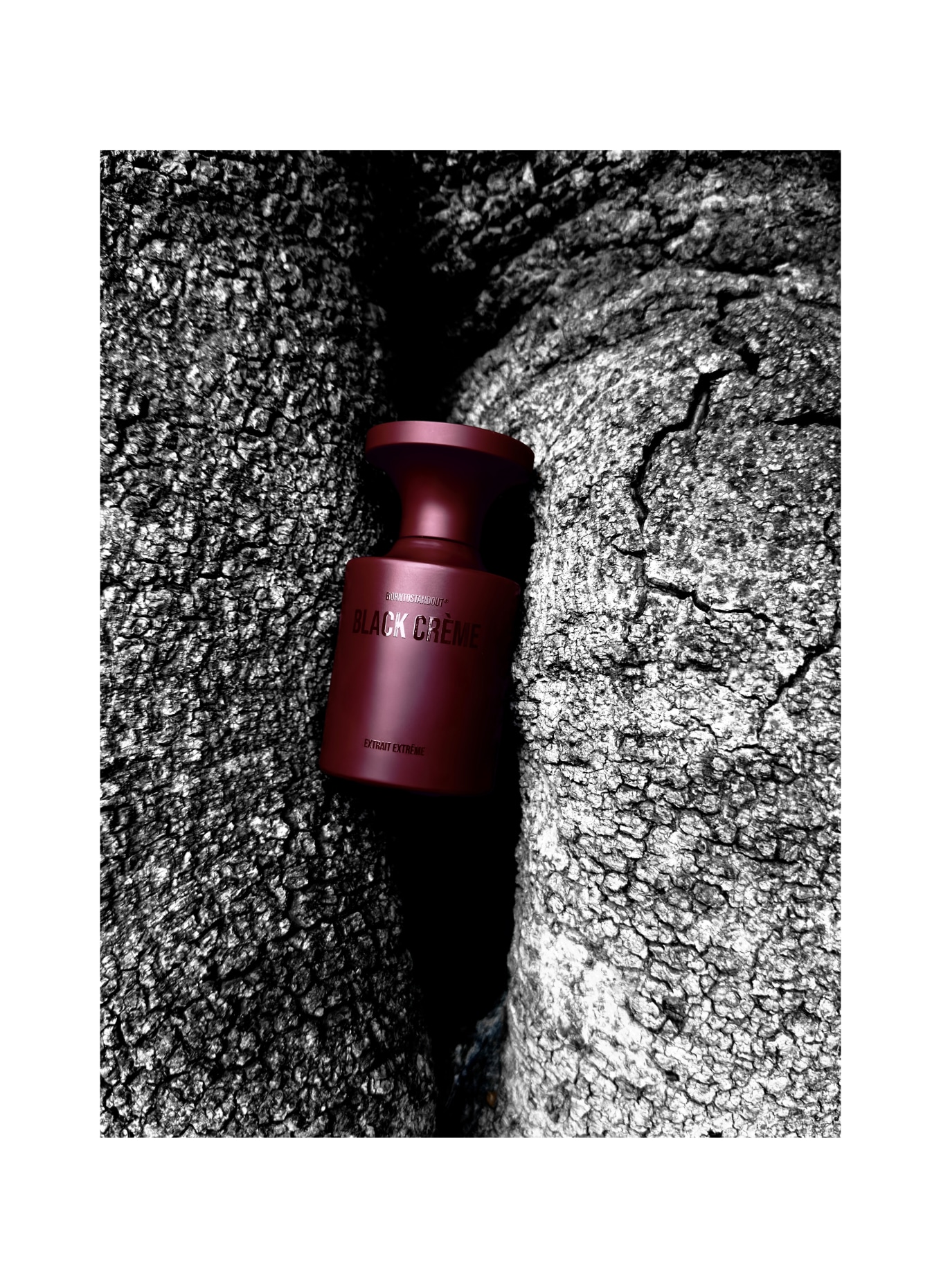 BORNTOSTANDOUT BLACK CRÈME