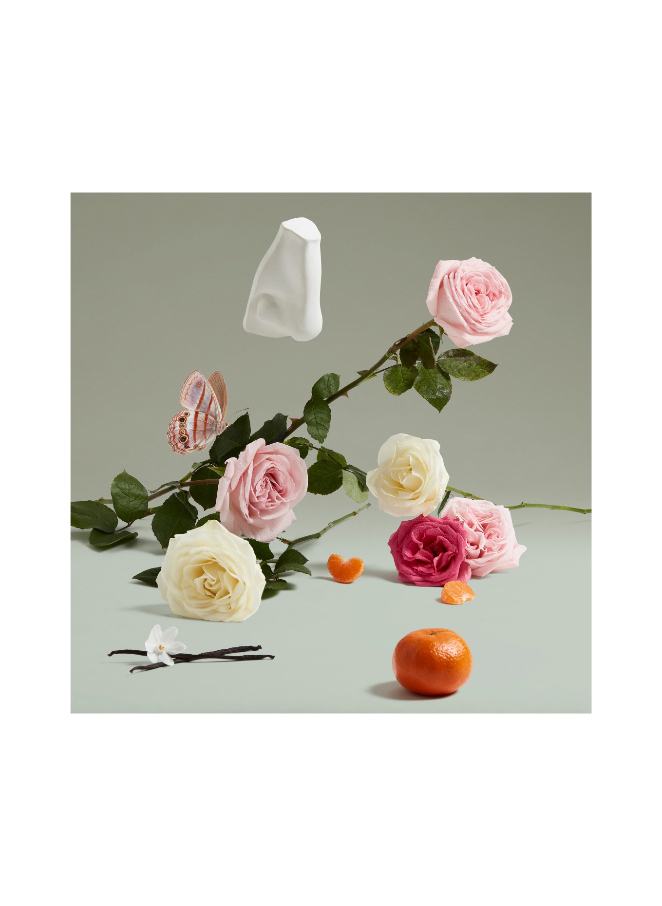 PENHALIGON'S THE COVETED DUCHESS ROSE