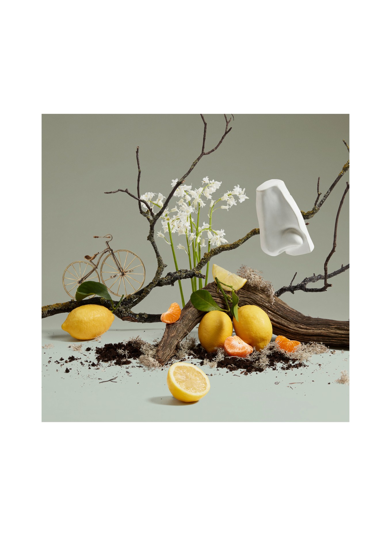 PENHALIGON'S QUERCUS