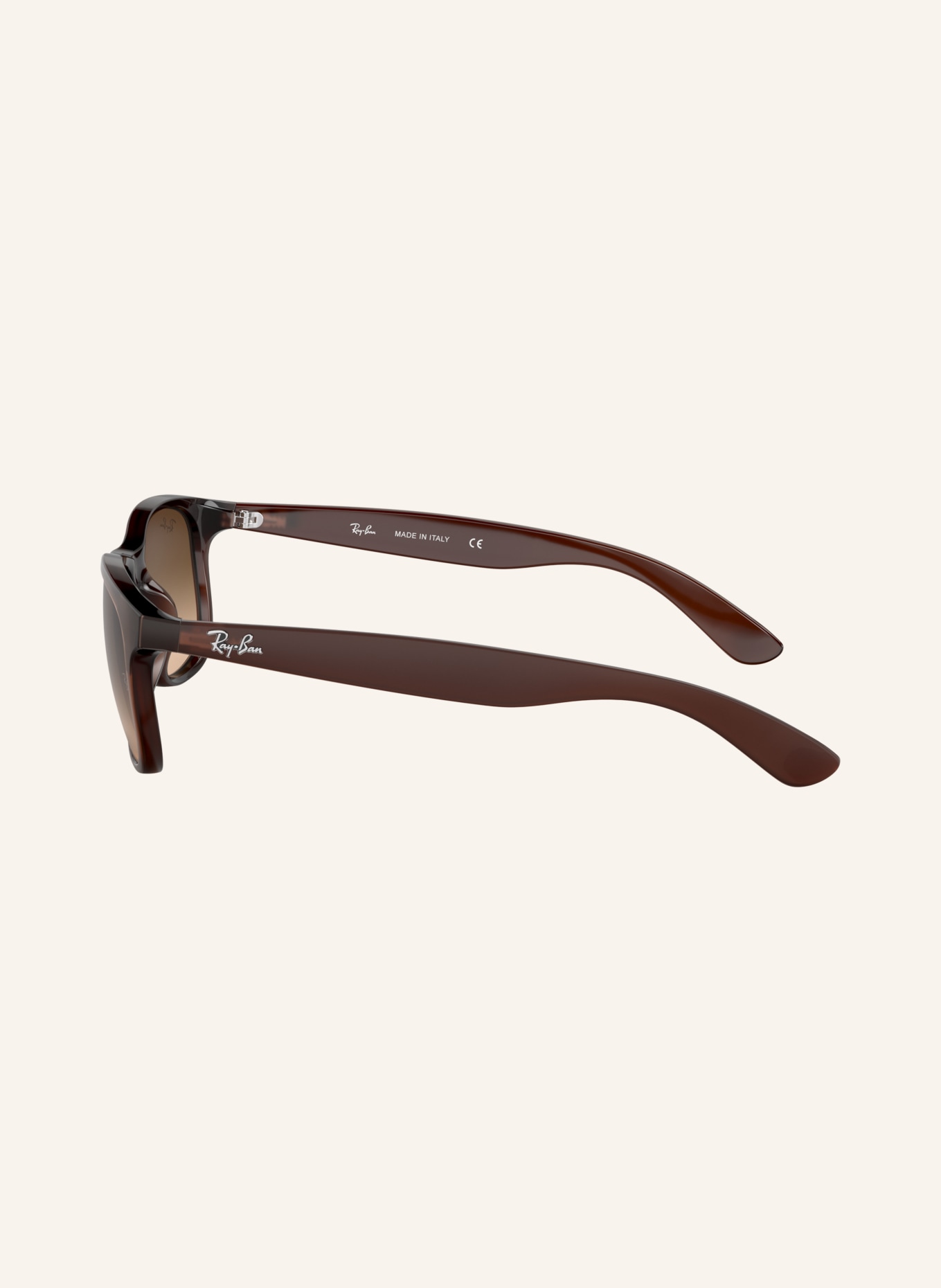 Ray-Ban Sunglasses RB4202: MATT BROWN / BROWN GRADIENT