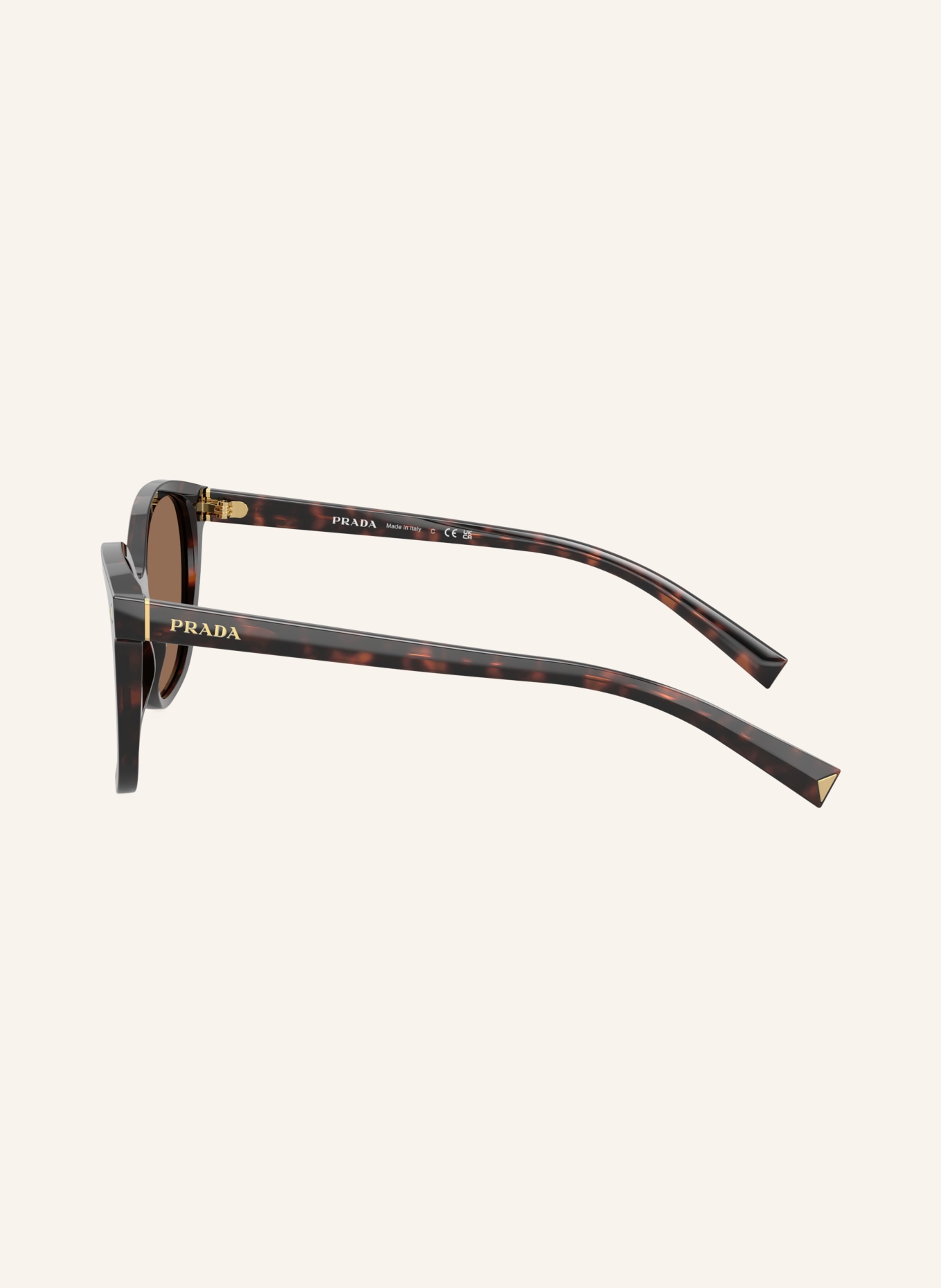 PRADA Zonnebril PR 22ZS: HAVANA/ BRUIN