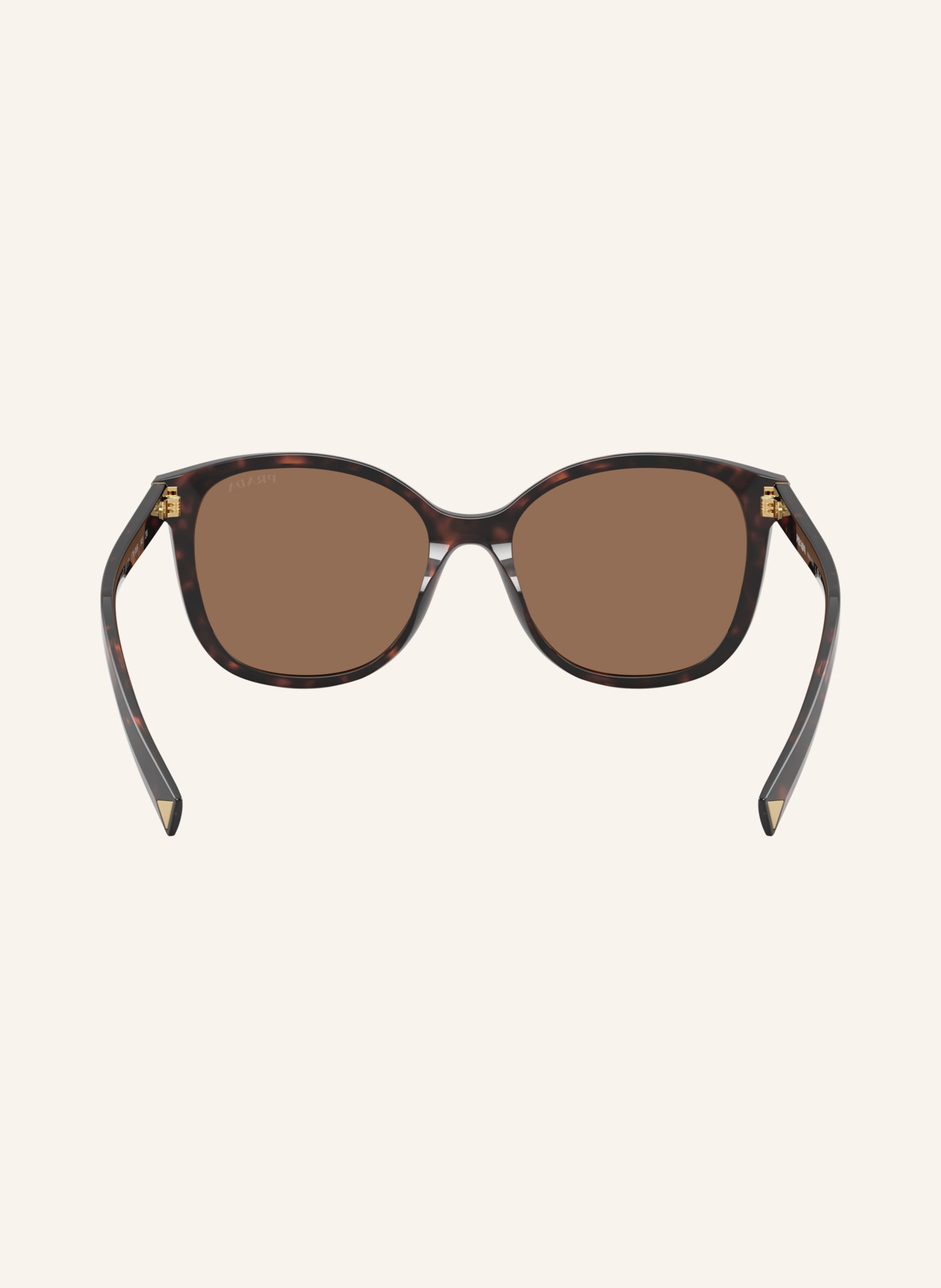 PRADA Zonnebril PR 22ZS: HAVANA/ BRUIN