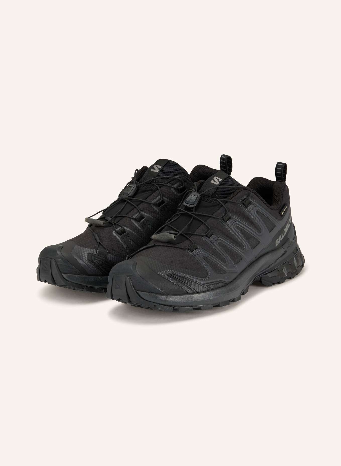 SALOMON Wandelschoenen XA PRO 3D V9 GTX: ZWART