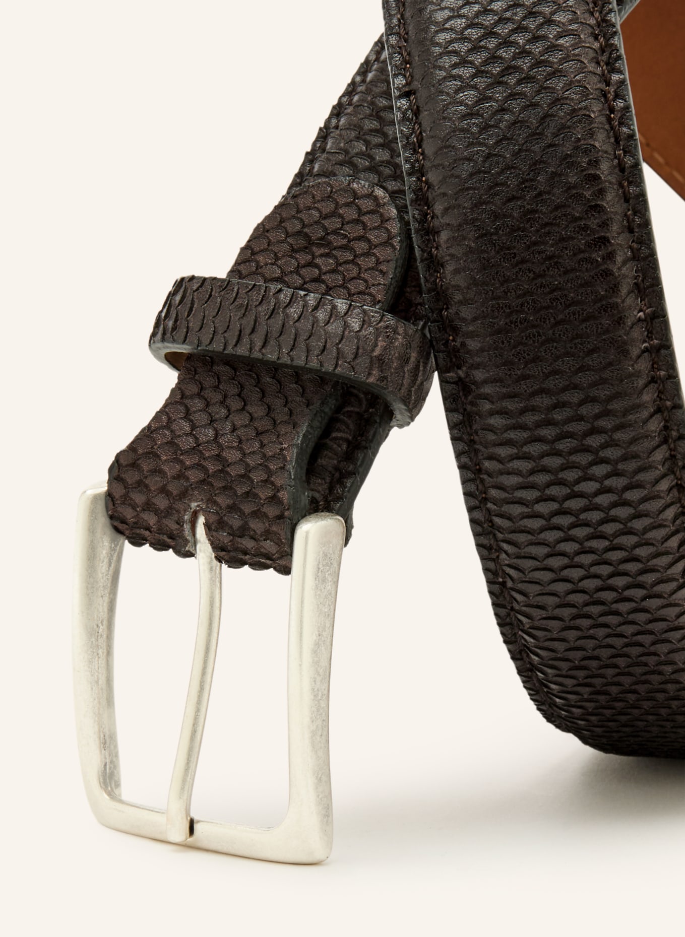 Reptile's House Belt BLIND: DARK BROWN