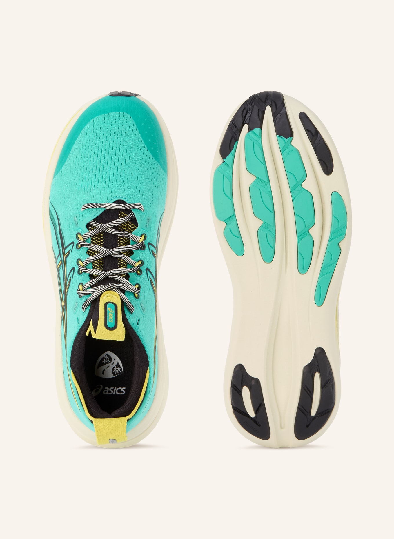 ASICS Laufschuhe GEL-NIMBUS 28 TR: MINT / HELLGRÜN / SCHWARZ