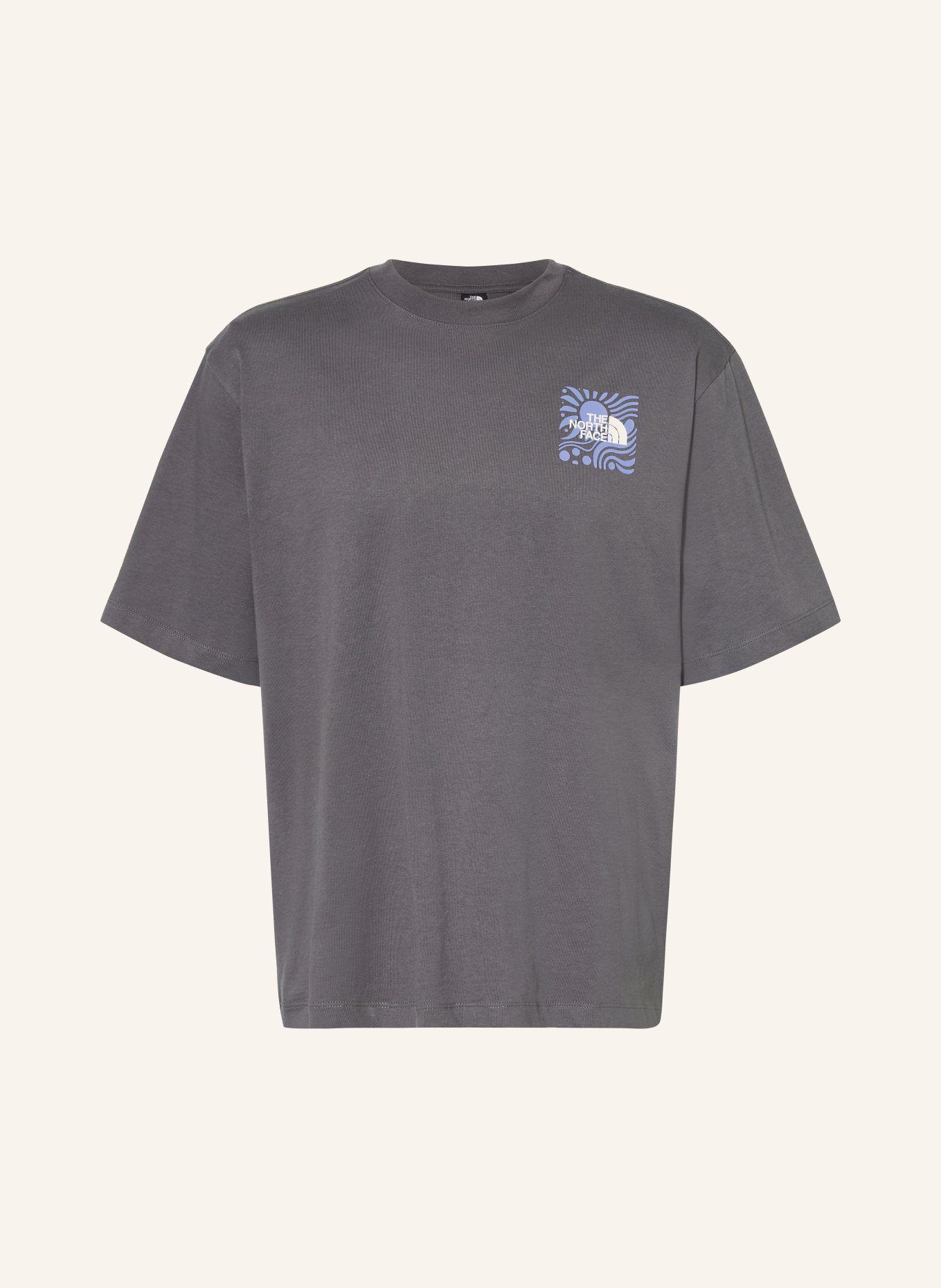 THE NORTH FACE T-Shirt SUN: DUNKELGRAU