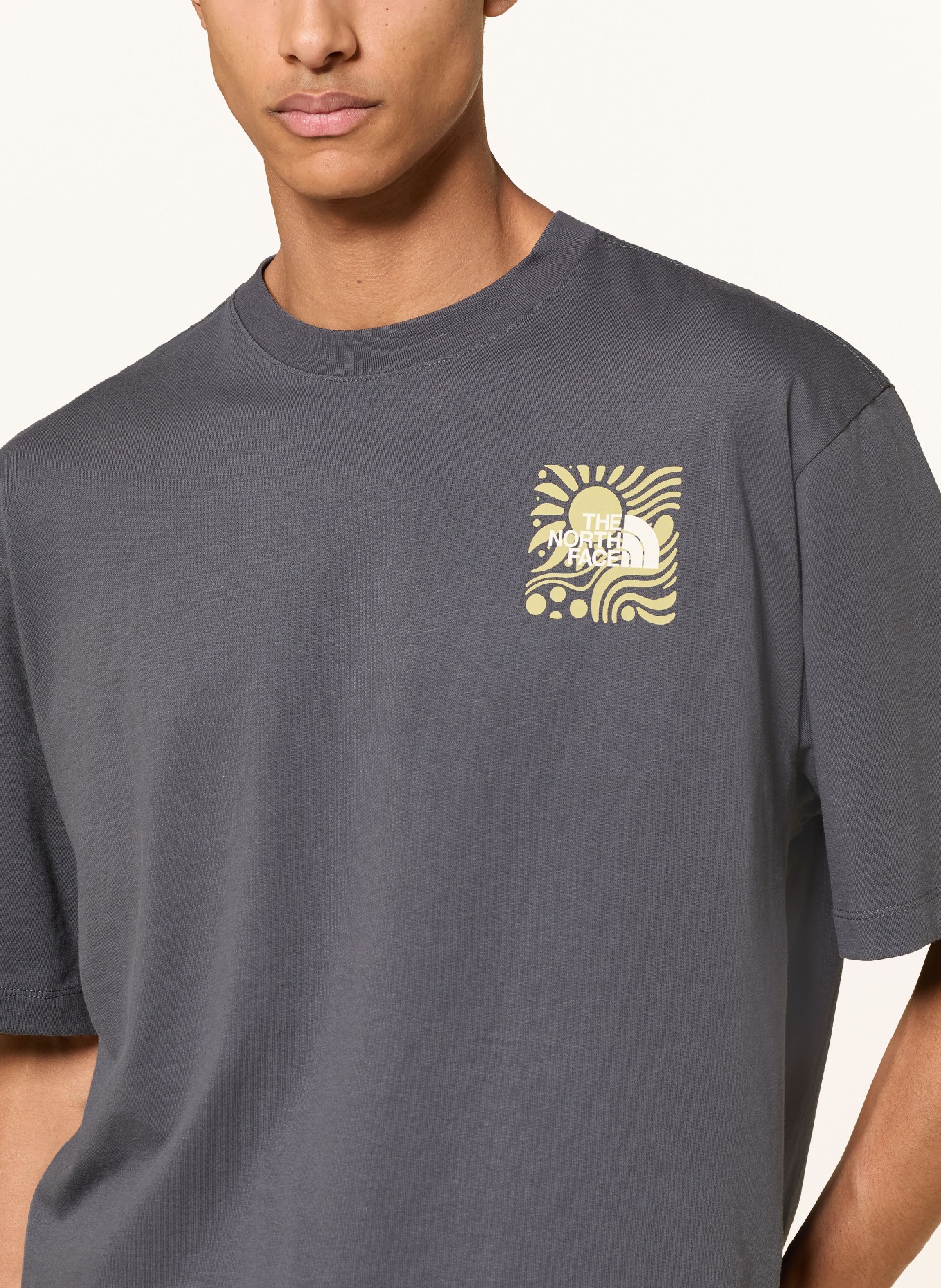 THE NORTH FACE T-Shirt SUN: DUNKELGRAU