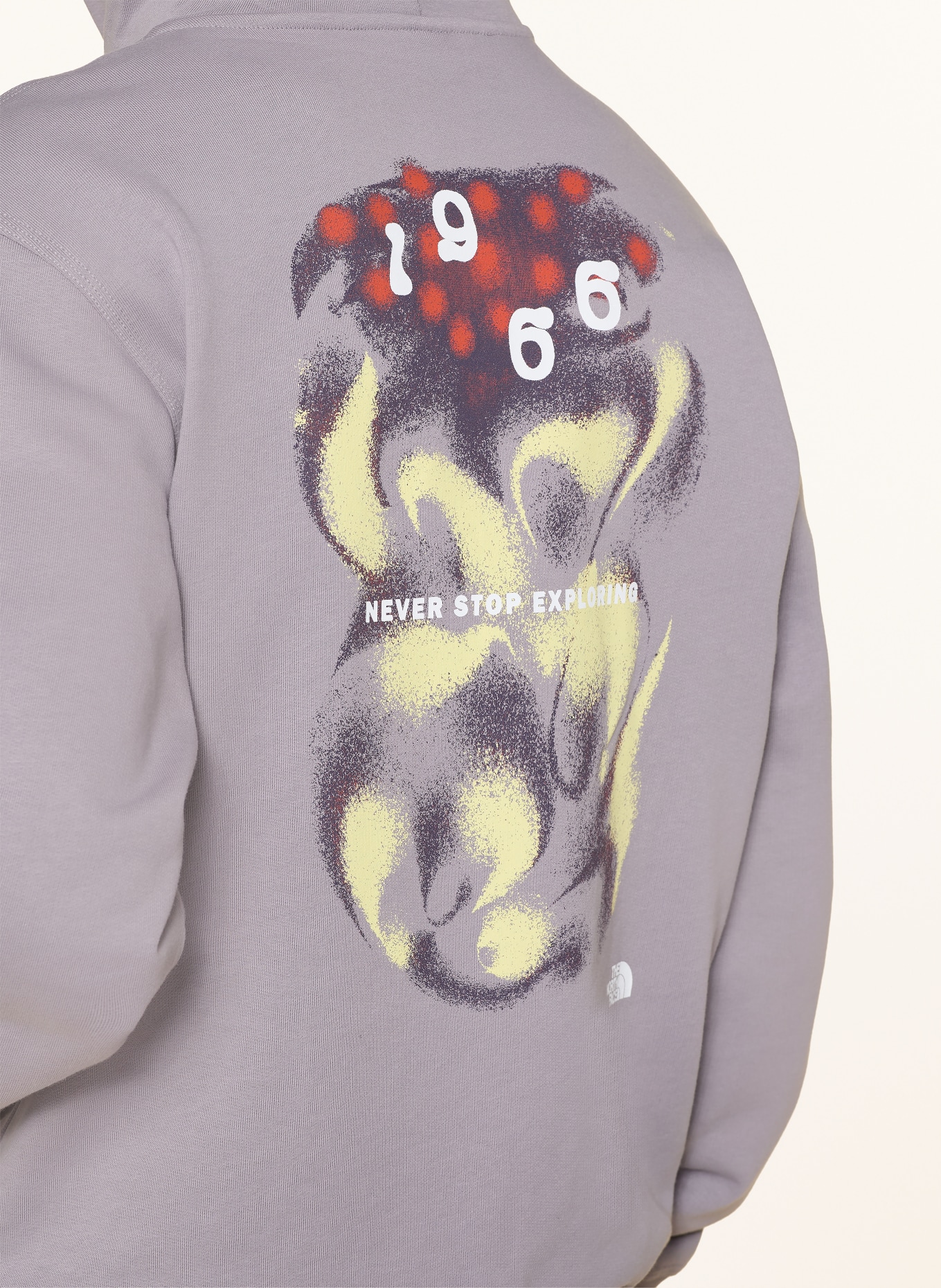 THE NORTH FACE Hoodie 1966 MOTION: BLAUGRAU