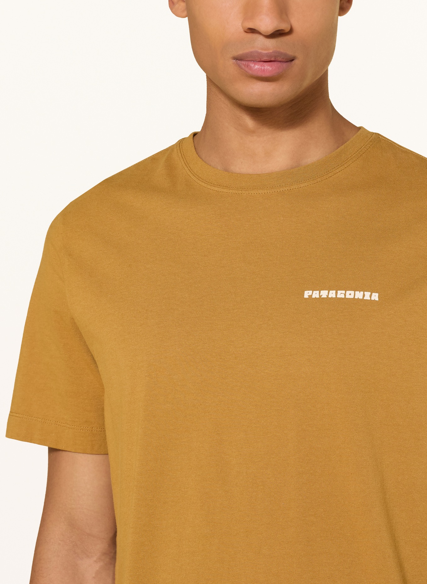 patagonia Tričko: KOŇAKOVÁ / SVĚTLE ZELENÁ / BÍLÁ