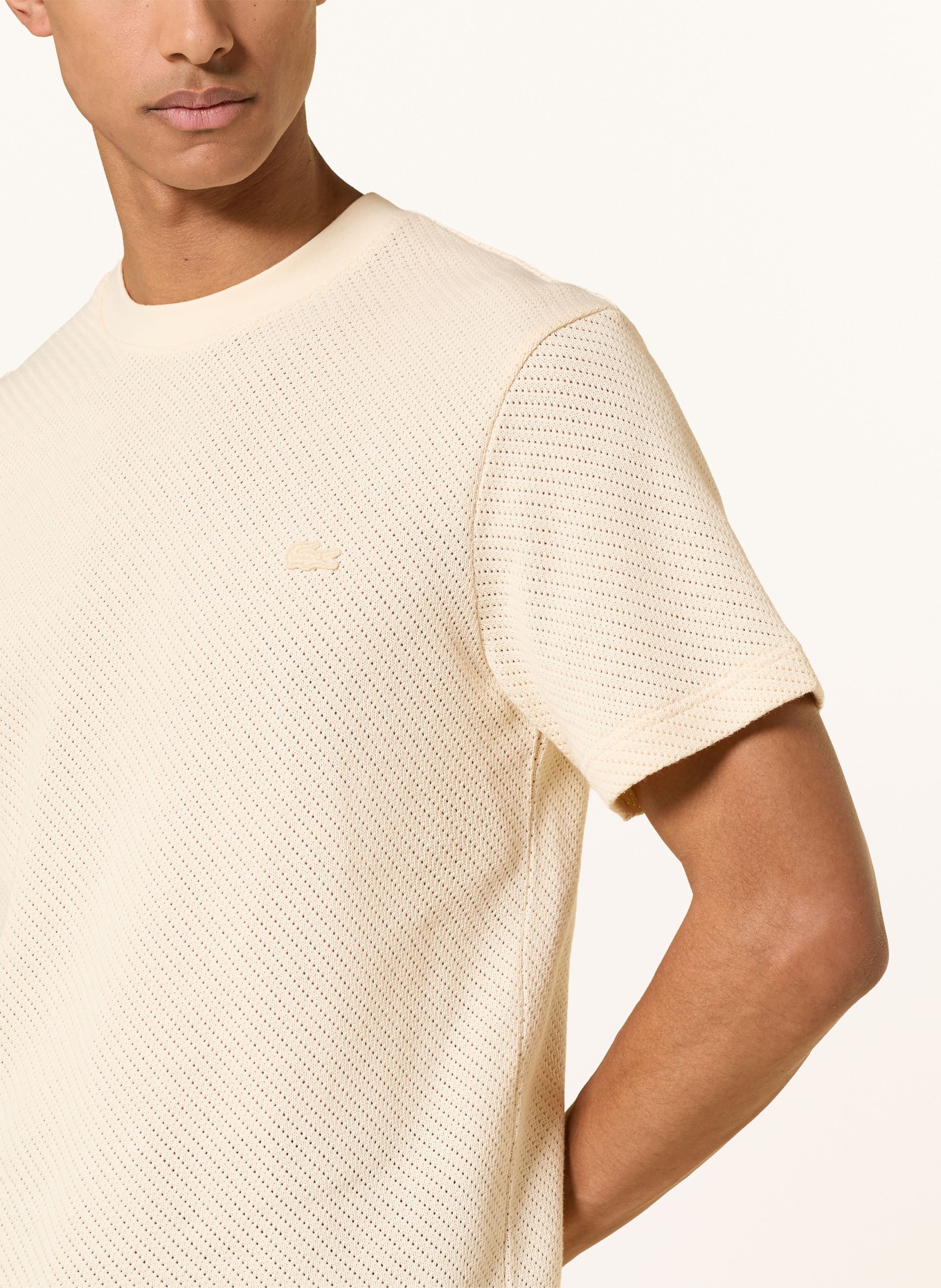 LACOSTE Pull en maille: CRÈME
