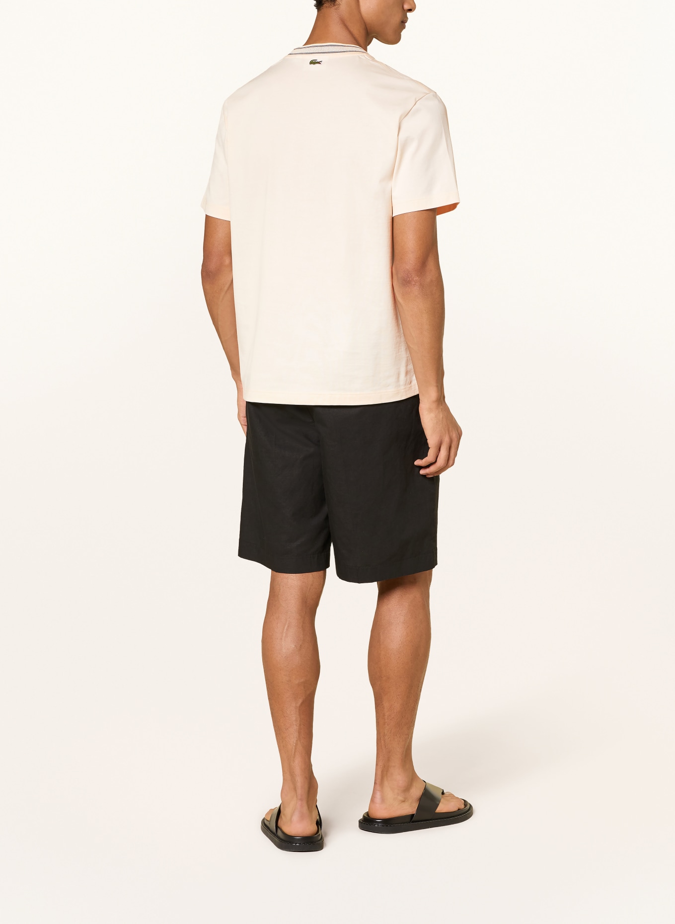 LACOSTE T-shirt: ECRU / BLACK